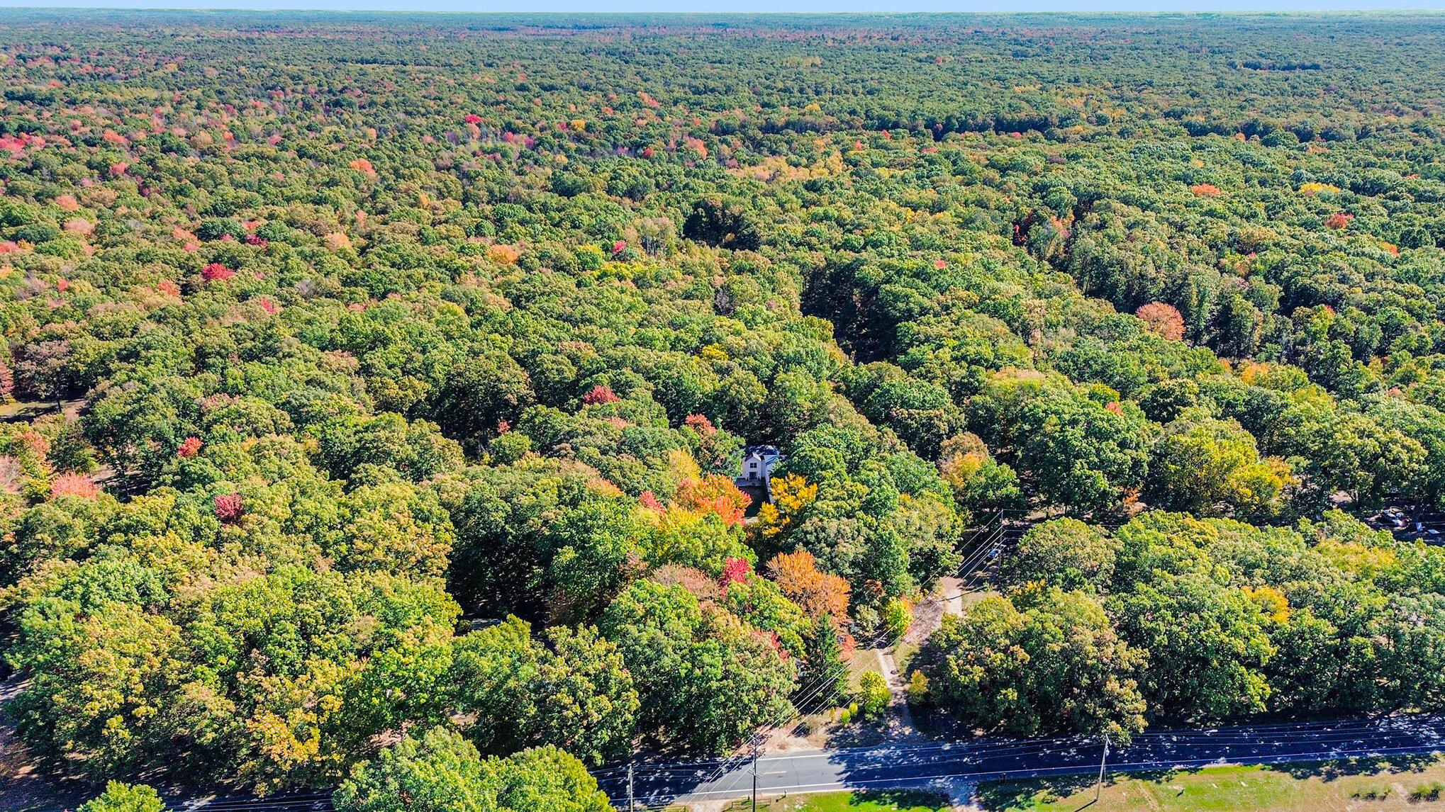 1351 56th Street Fennville MI 49408