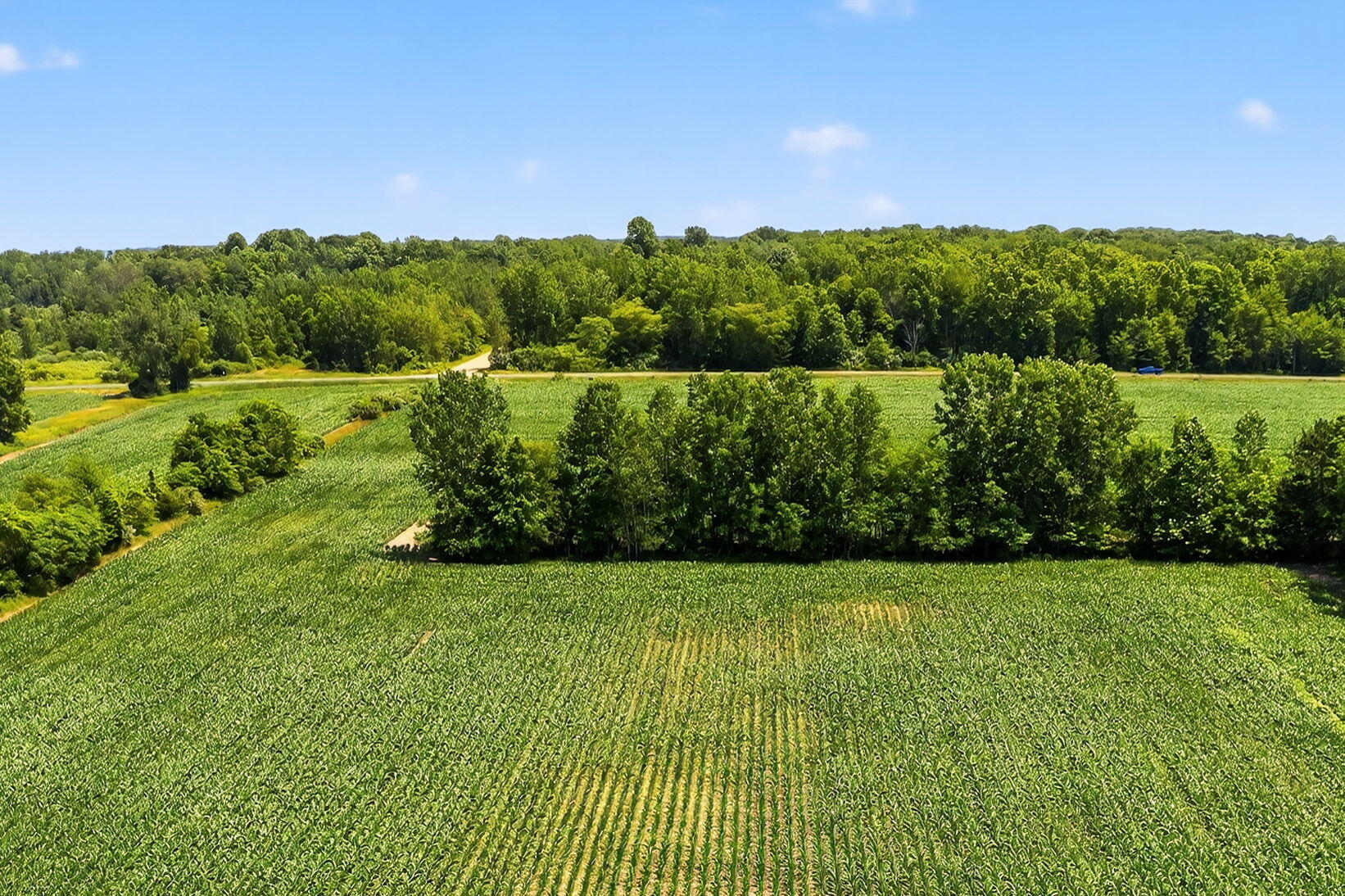 18800 County Road 681 Grand Junction MI 49056