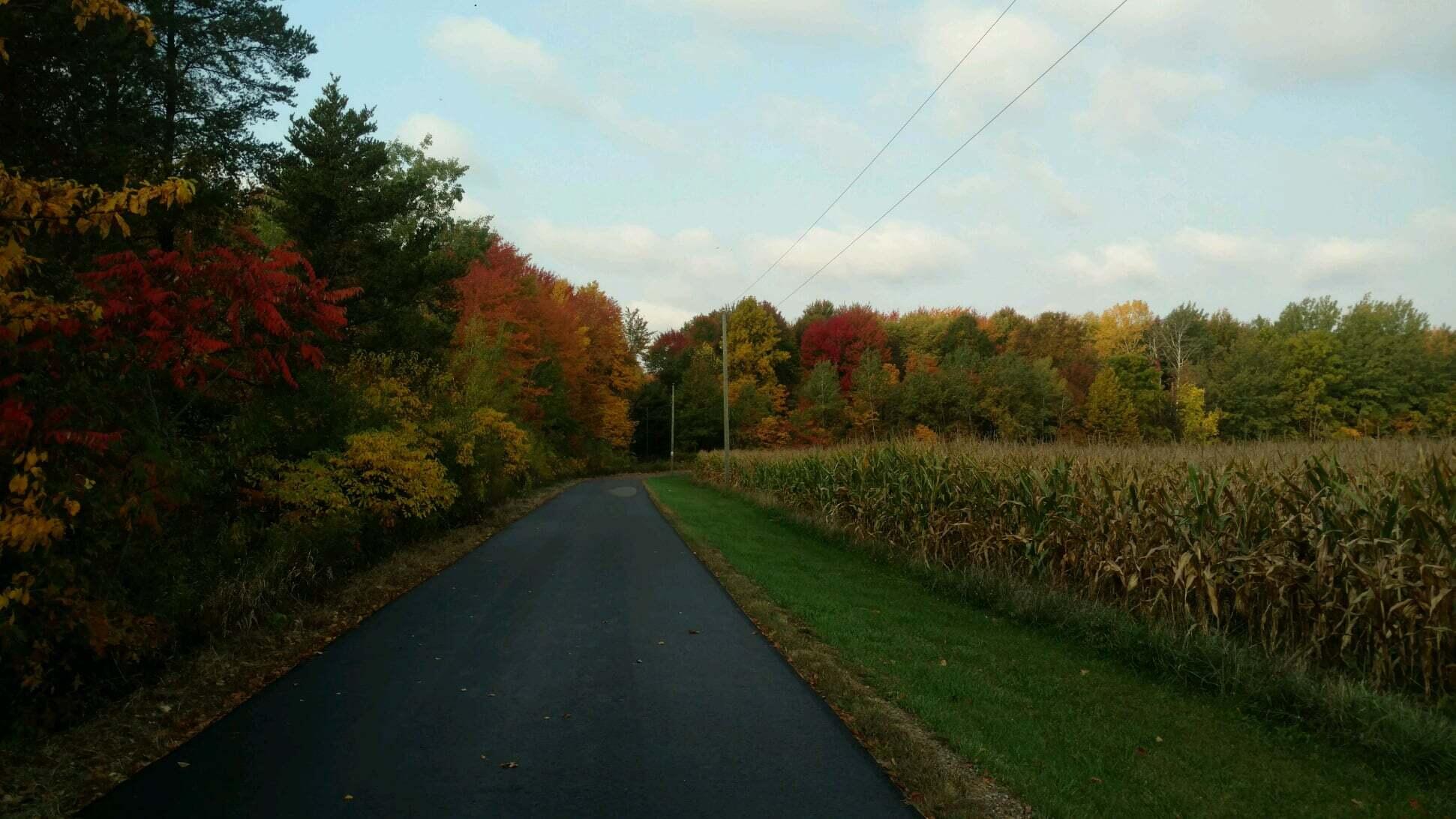 18800 County Road 681 Grand Junction MI 49056