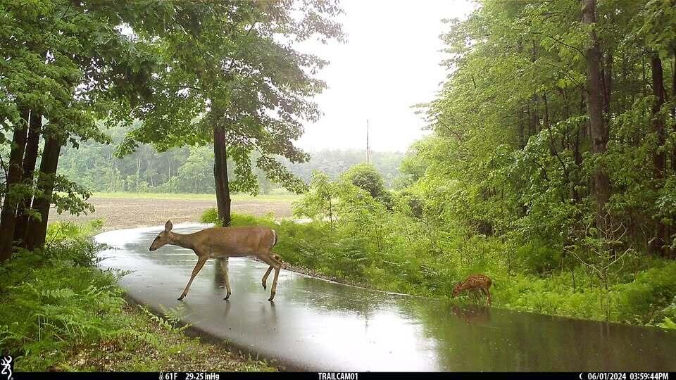 18800 County Road 681 Grand Junction MI 49056
