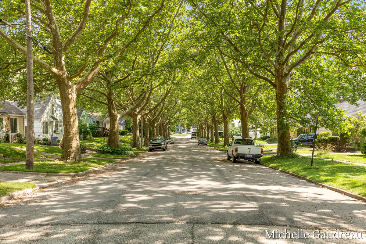 1318 Portland Avenue NE Grand Rapids MI 49505