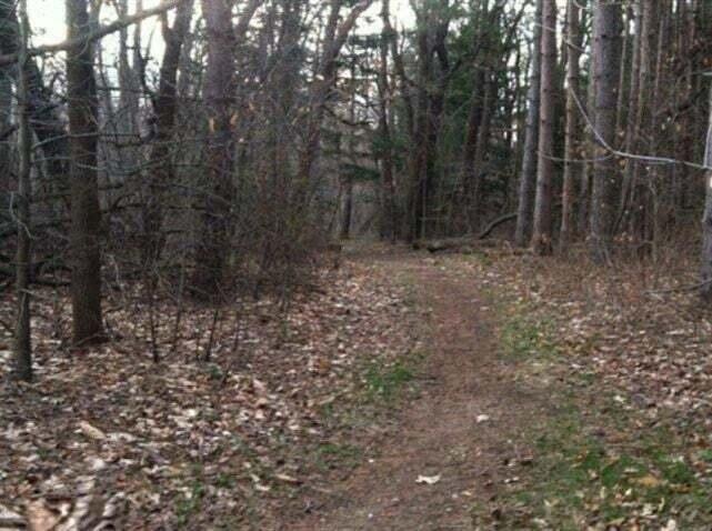 82078 North Court Coloma MI 49038