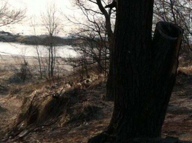 82078 North Court Coloma MI 49038