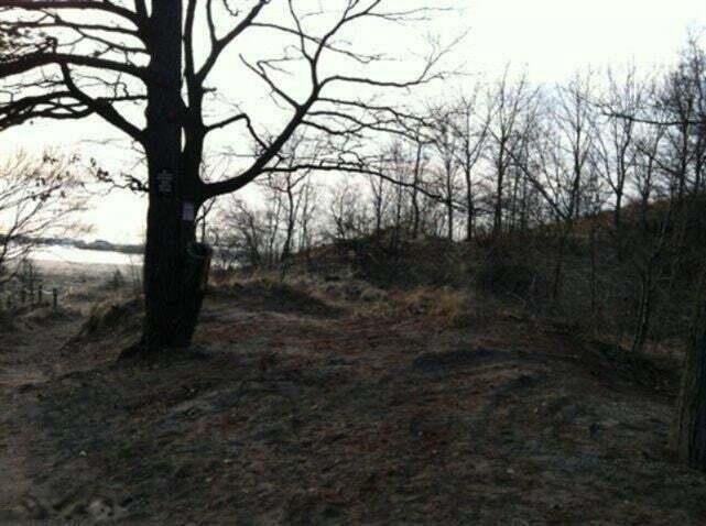 82078 North Court Coloma MI 49038