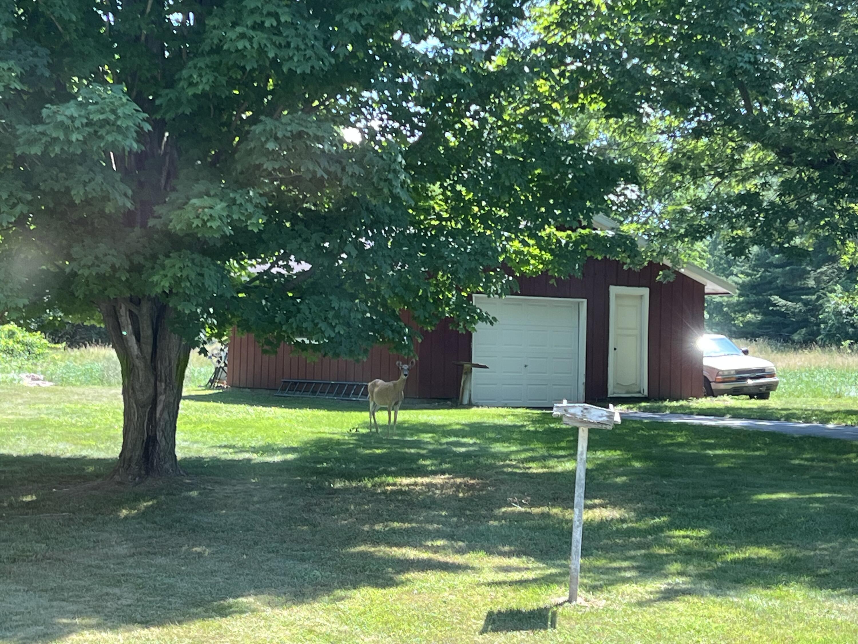 7260 Childsdale Avenue NE Rockford MI 49341