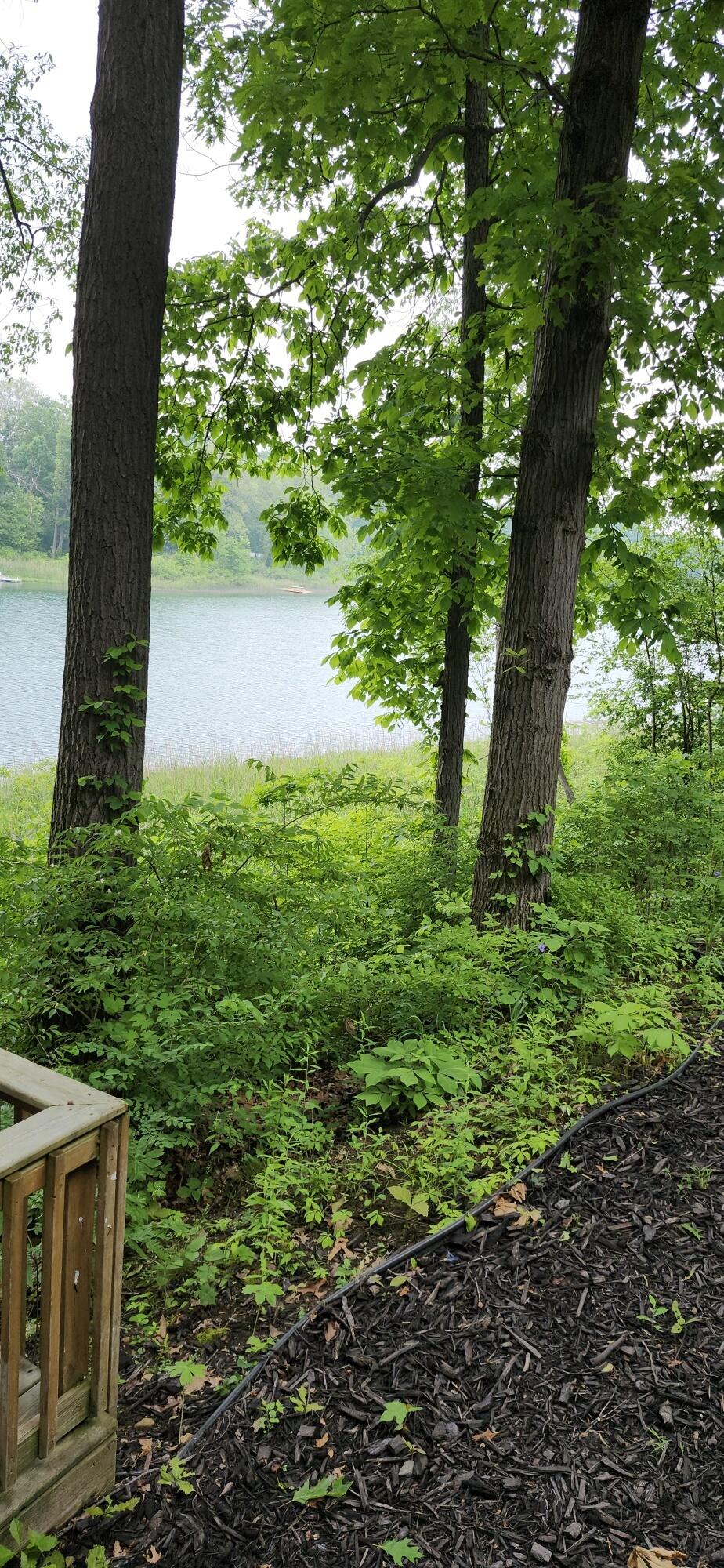 21932 Buffalo Ln. Lane Cassopolis MI 49031