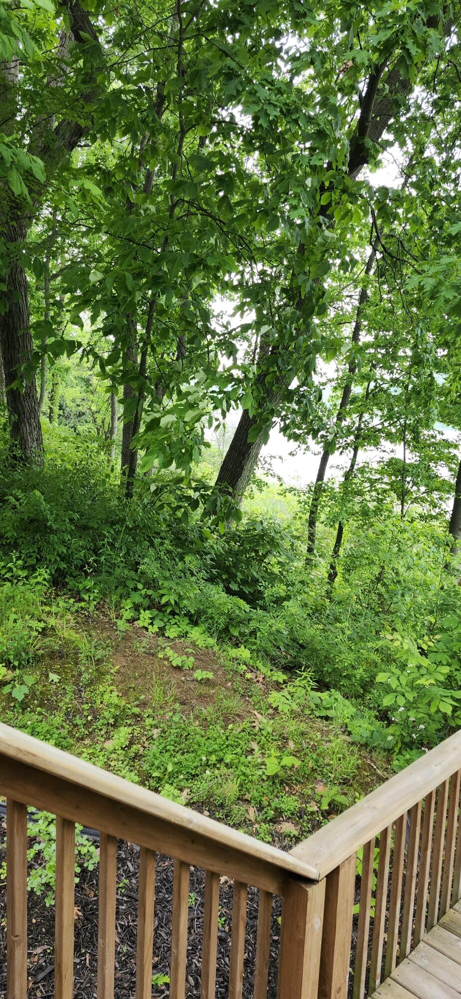 21932 Buffalo Ln. Lane Cassopolis MI 49031