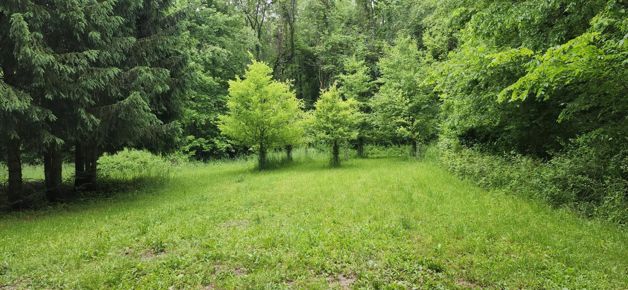 21932 Buffalo Ln. Lane Cassopolis MI 49031