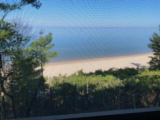 27901 Shorewood Drive Covert MI 49043