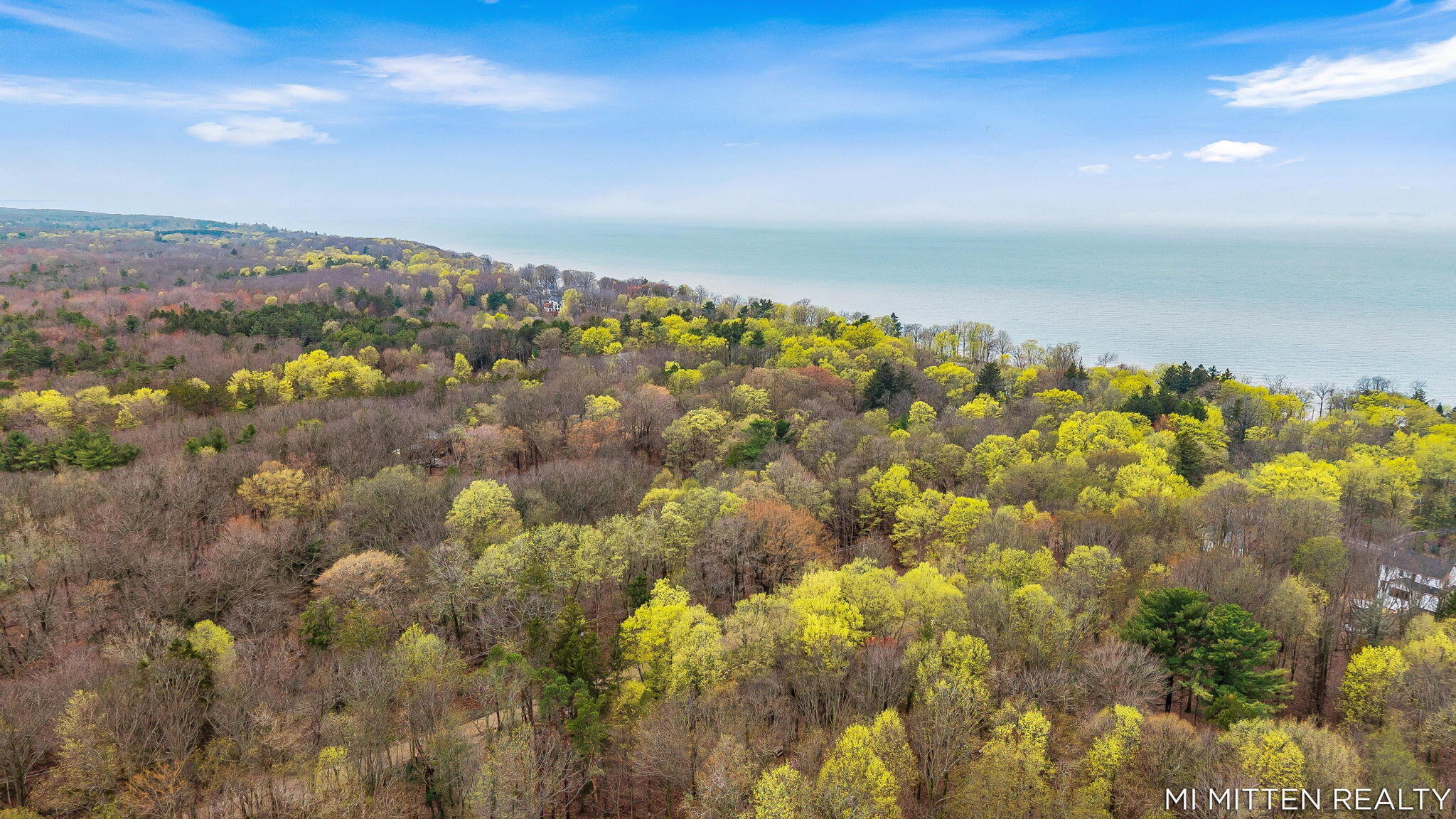 2322 Forest Trail Circle Fennville MI 49408