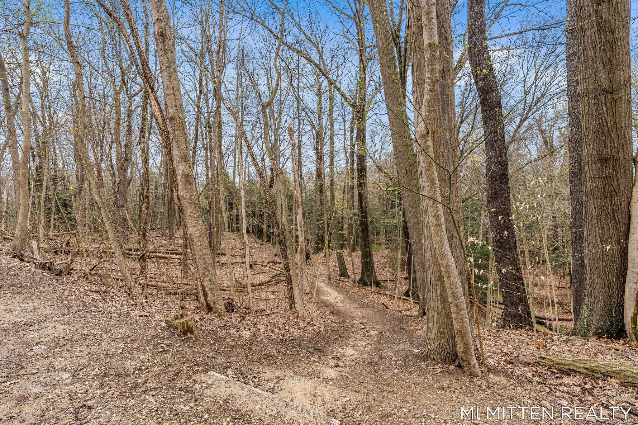 2322 Forest Trail Circle Fennville MI 49408