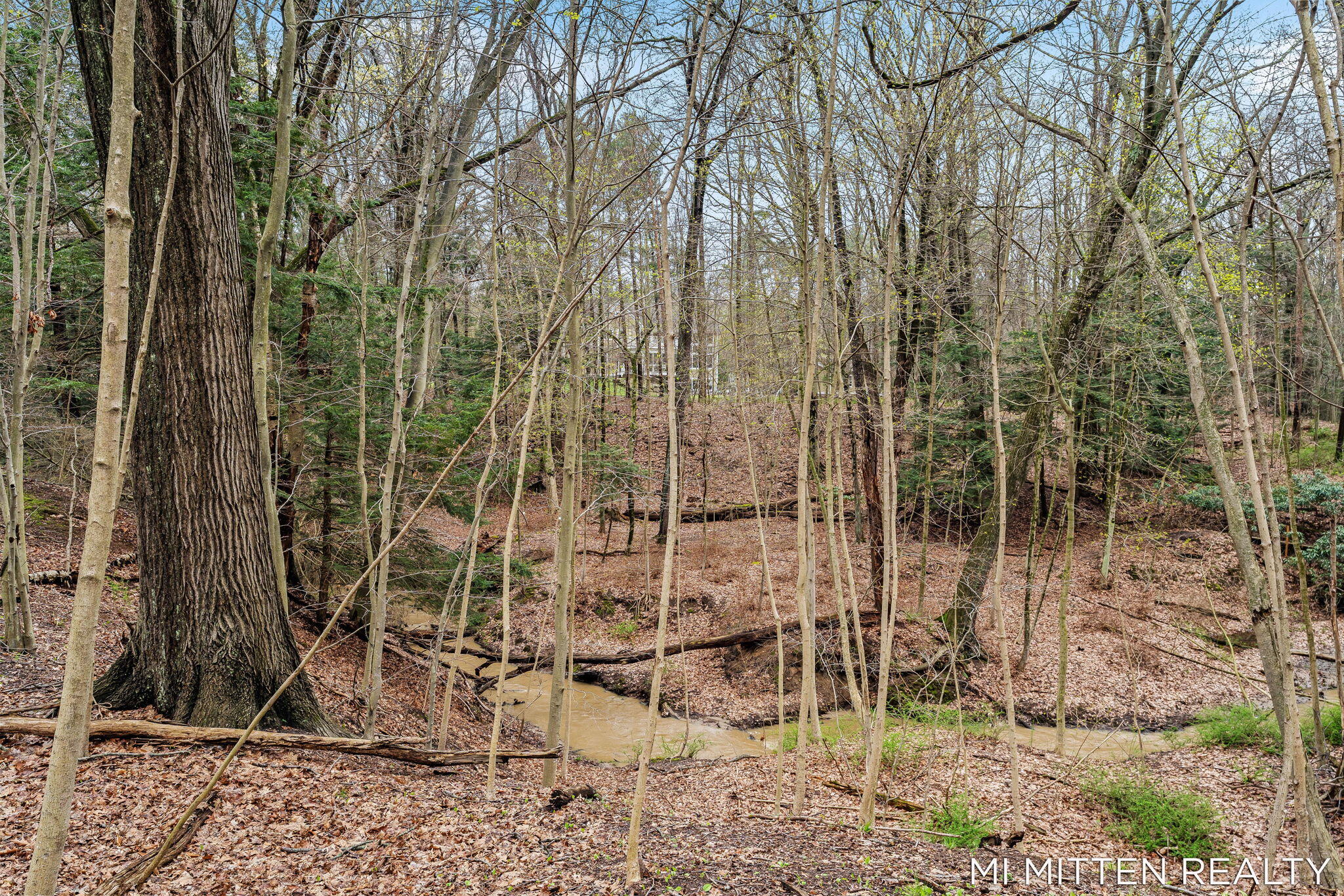 2322 Forest Trail Circle Fennville MI 49408