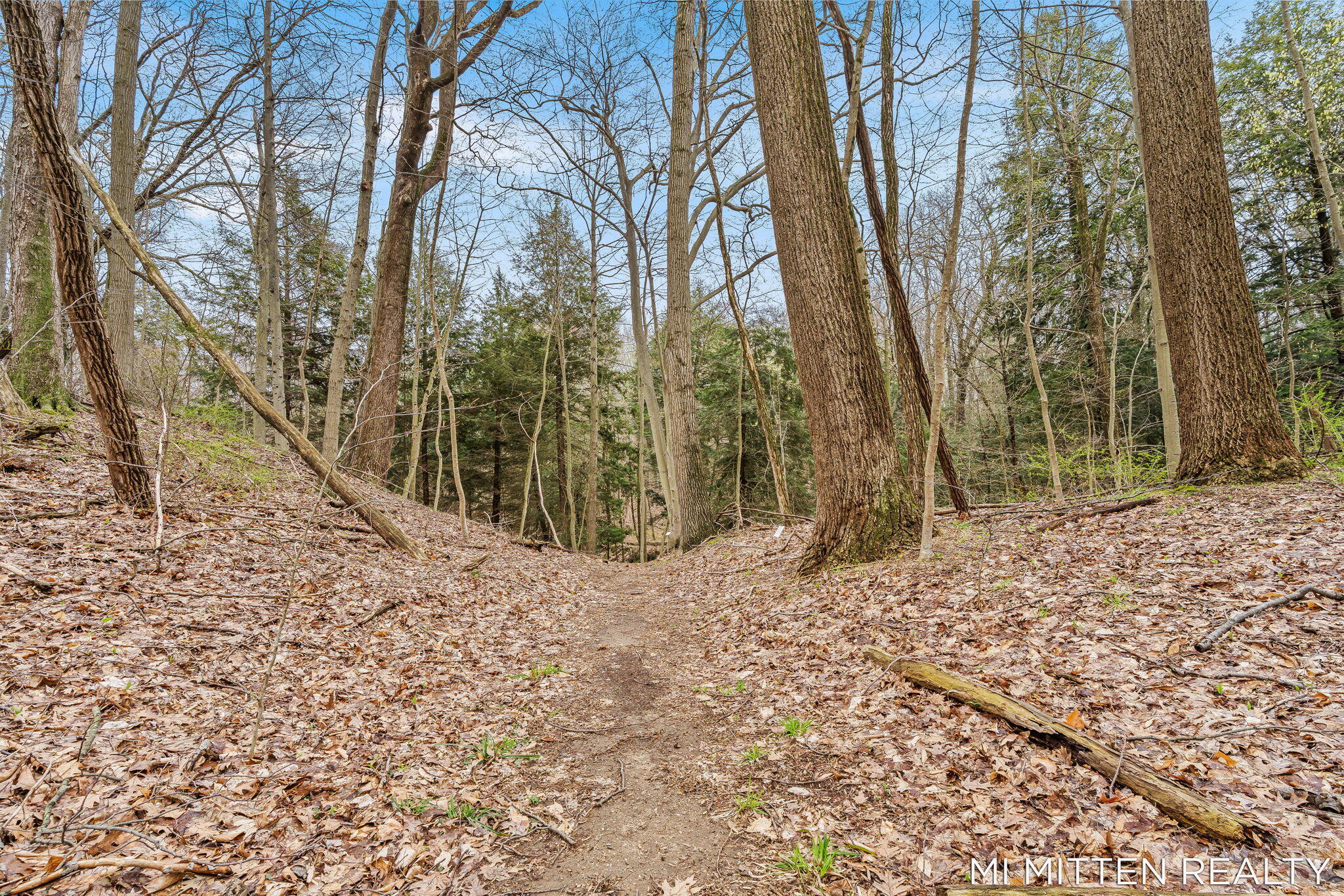 2322 Forest Trail Circle Fennville MI 49408
