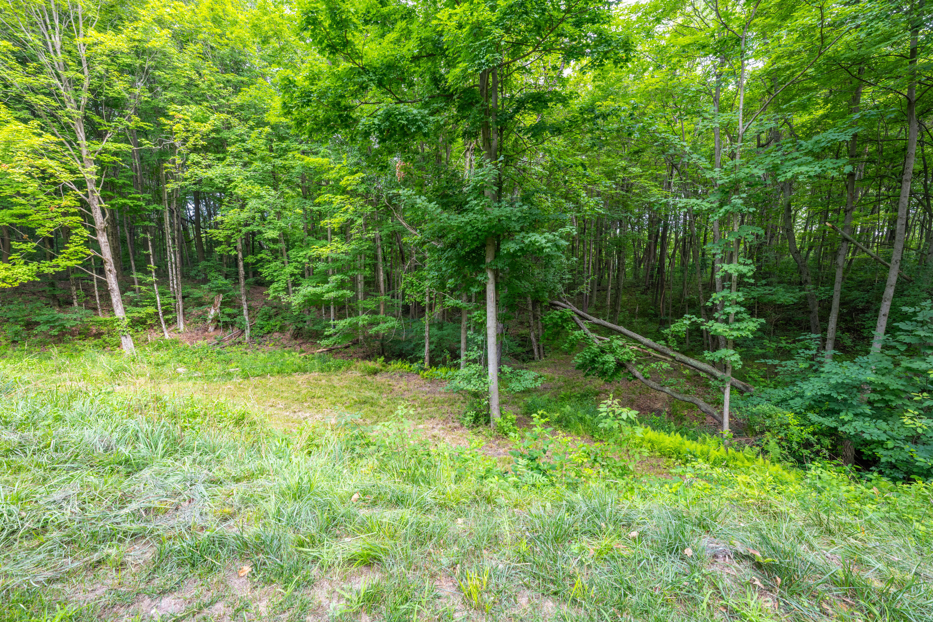 412 63rd Street South Haven MI 49090