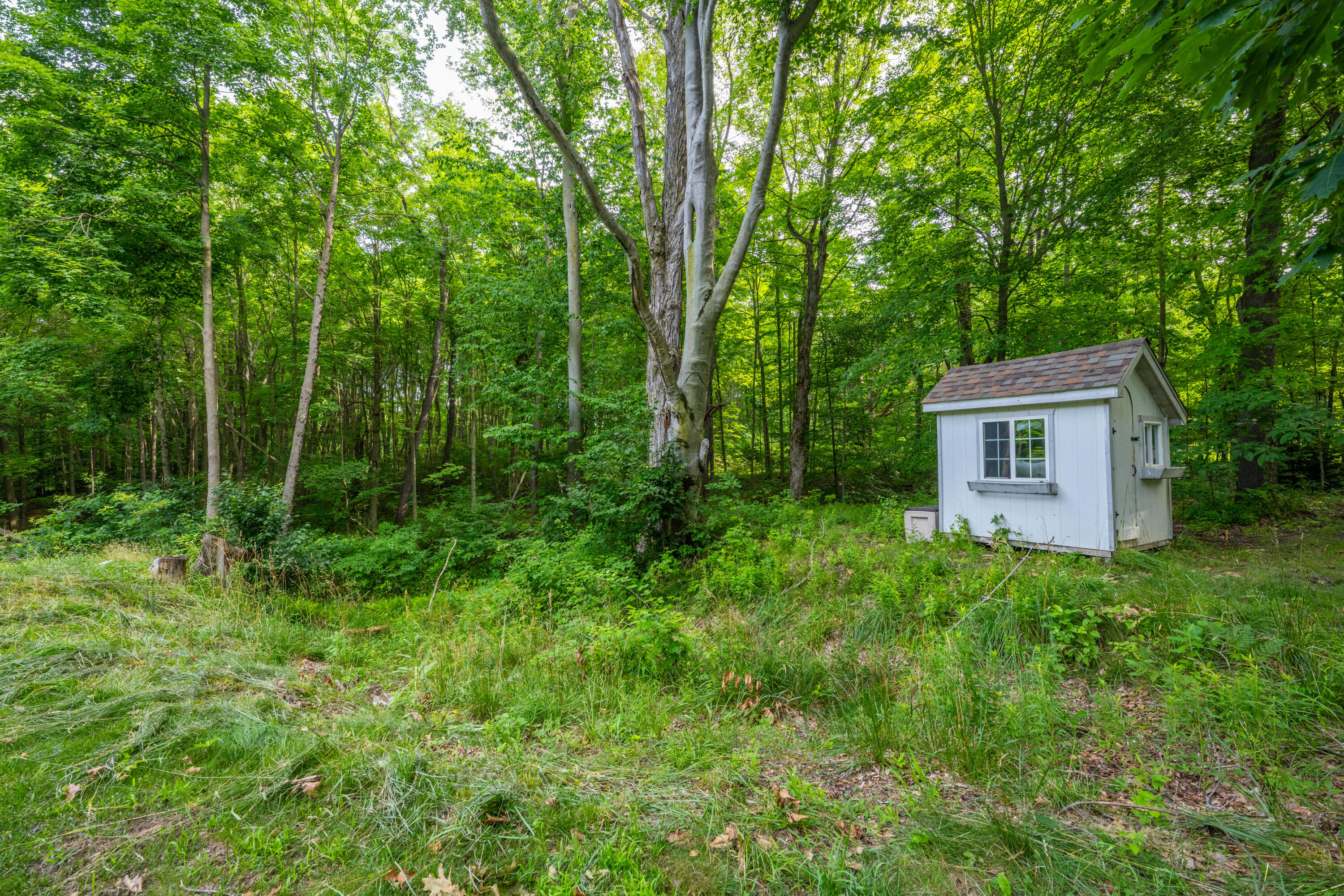 412 63rd Street South Haven MI 49090