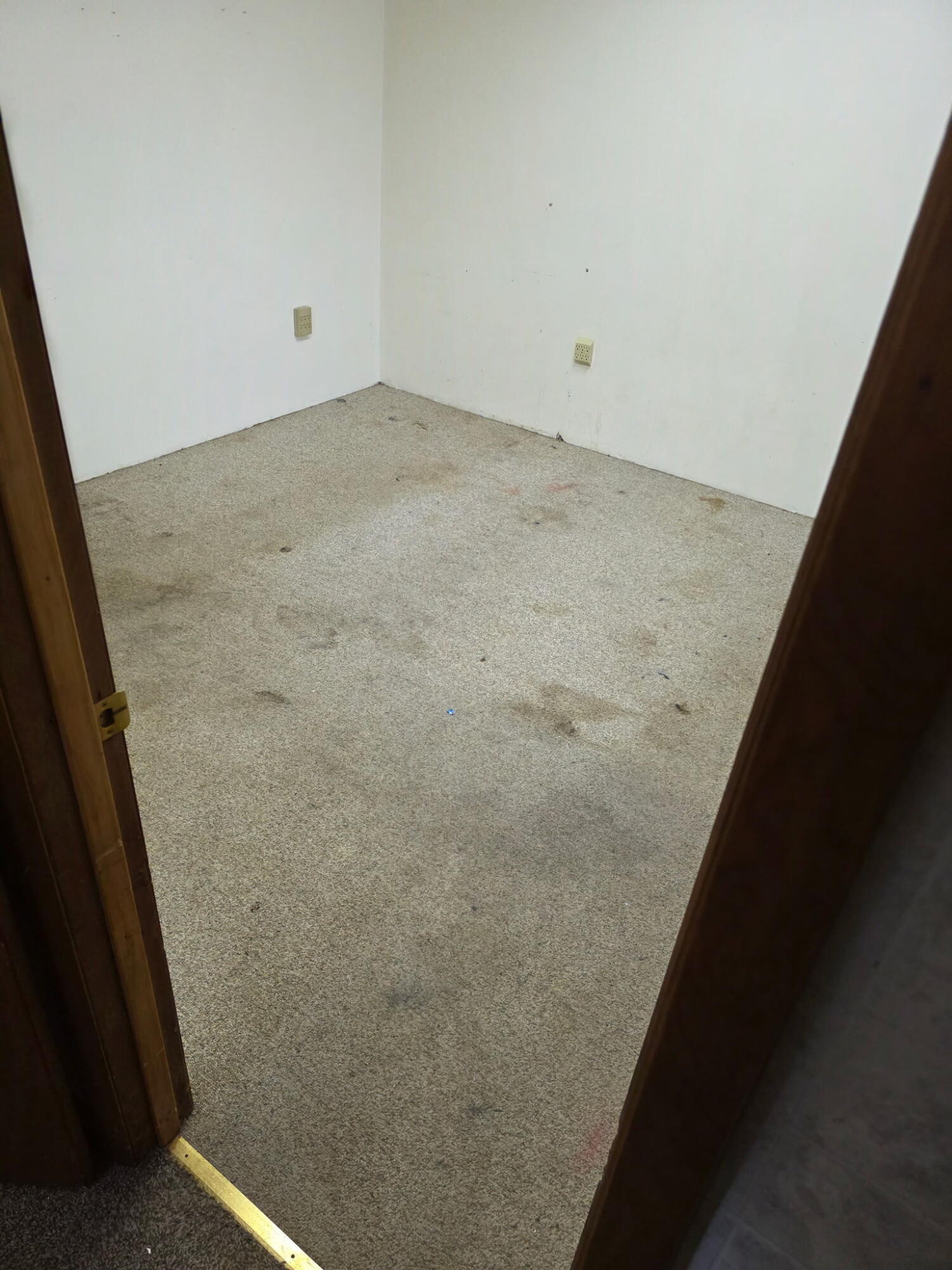 2428 Stevens Avenue Kalamazoo MI 49008