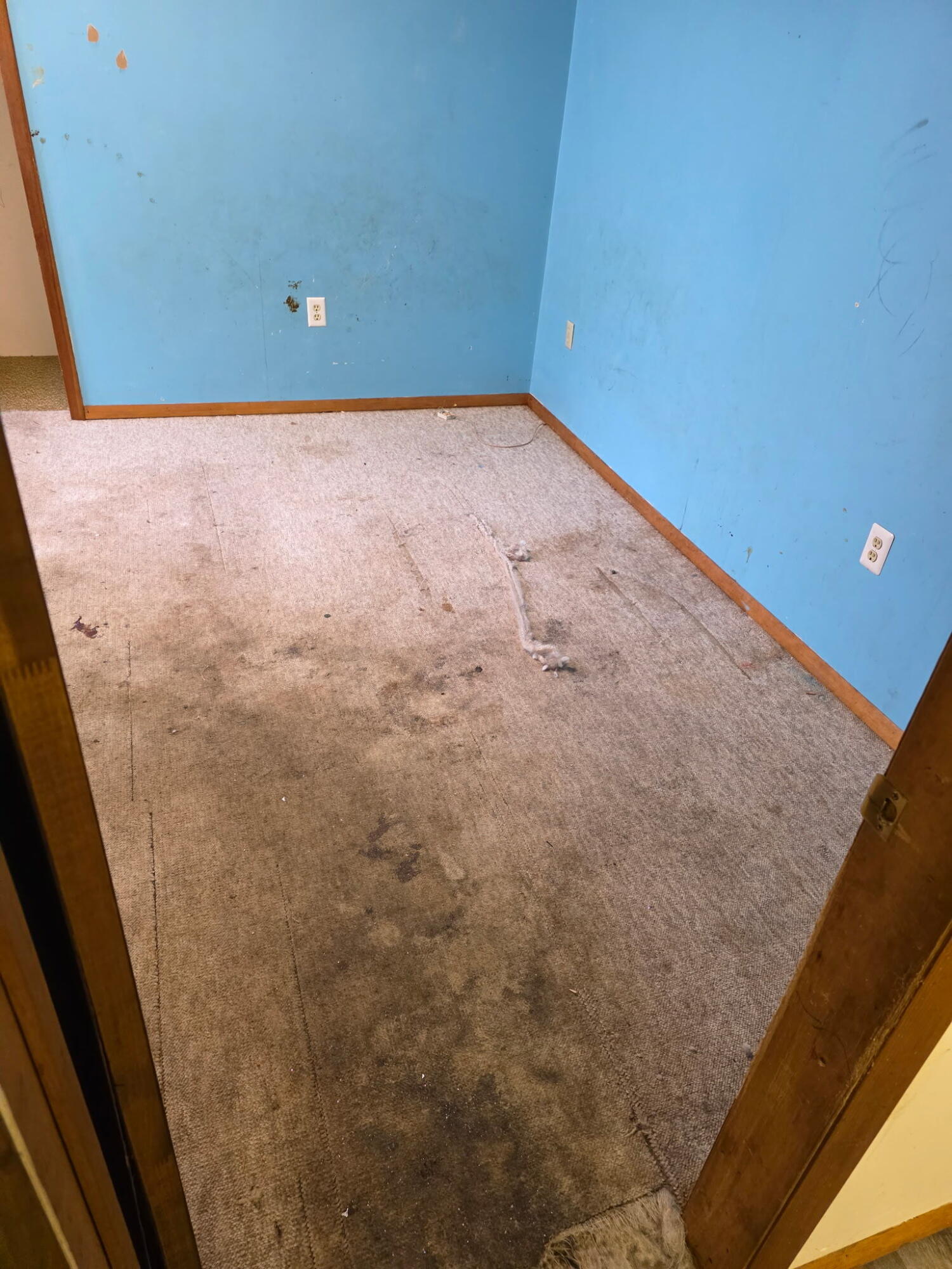 2428 Stevens Avenue Kalamazoo MI 49008