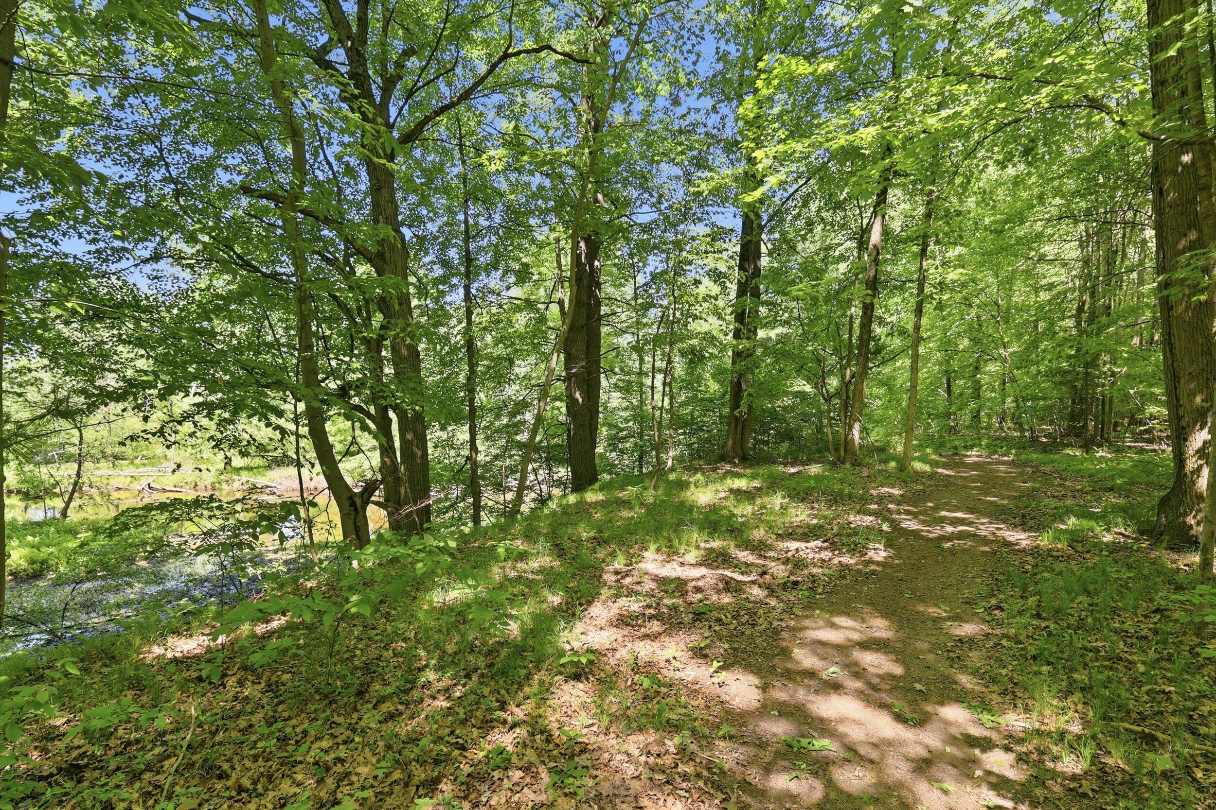 9339 Bay Harbor Court NE Rockford MI 49341