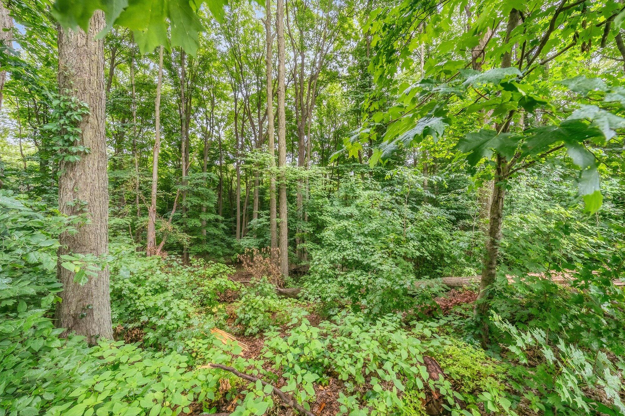 2600 Orange Meadow Lane Kalamazoo MI 49004