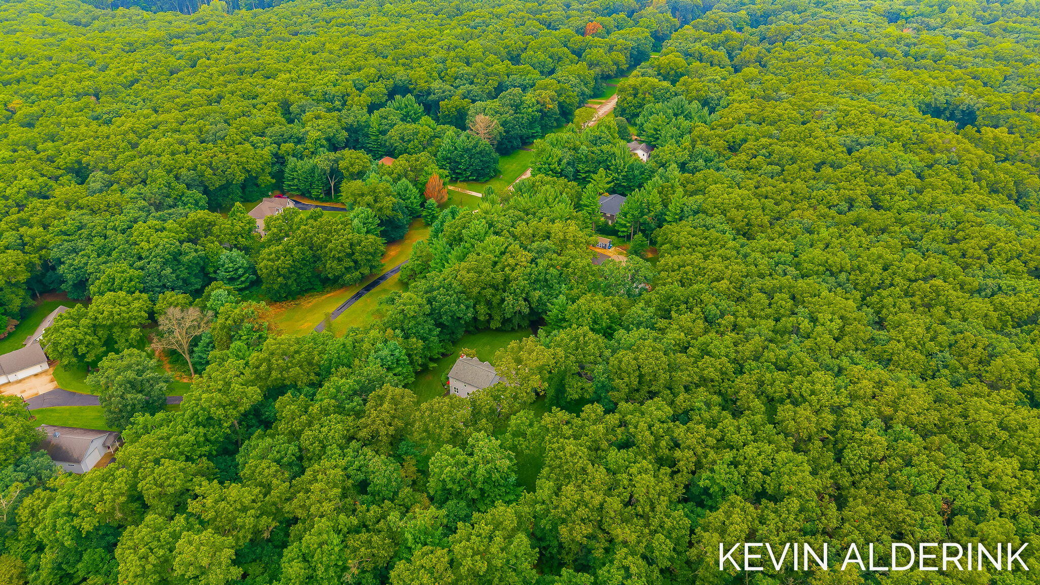3113 Marcia Lane Hamilton MI 49419