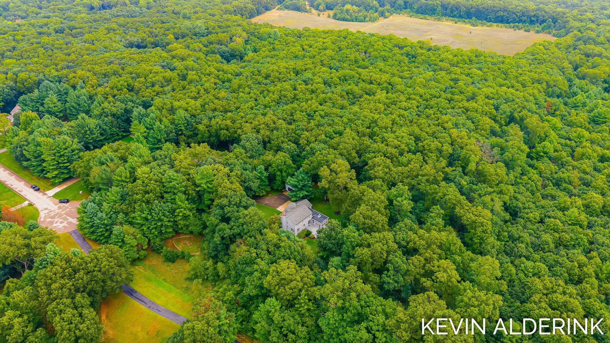3113 Marcia Lane Hamilton MI 49419