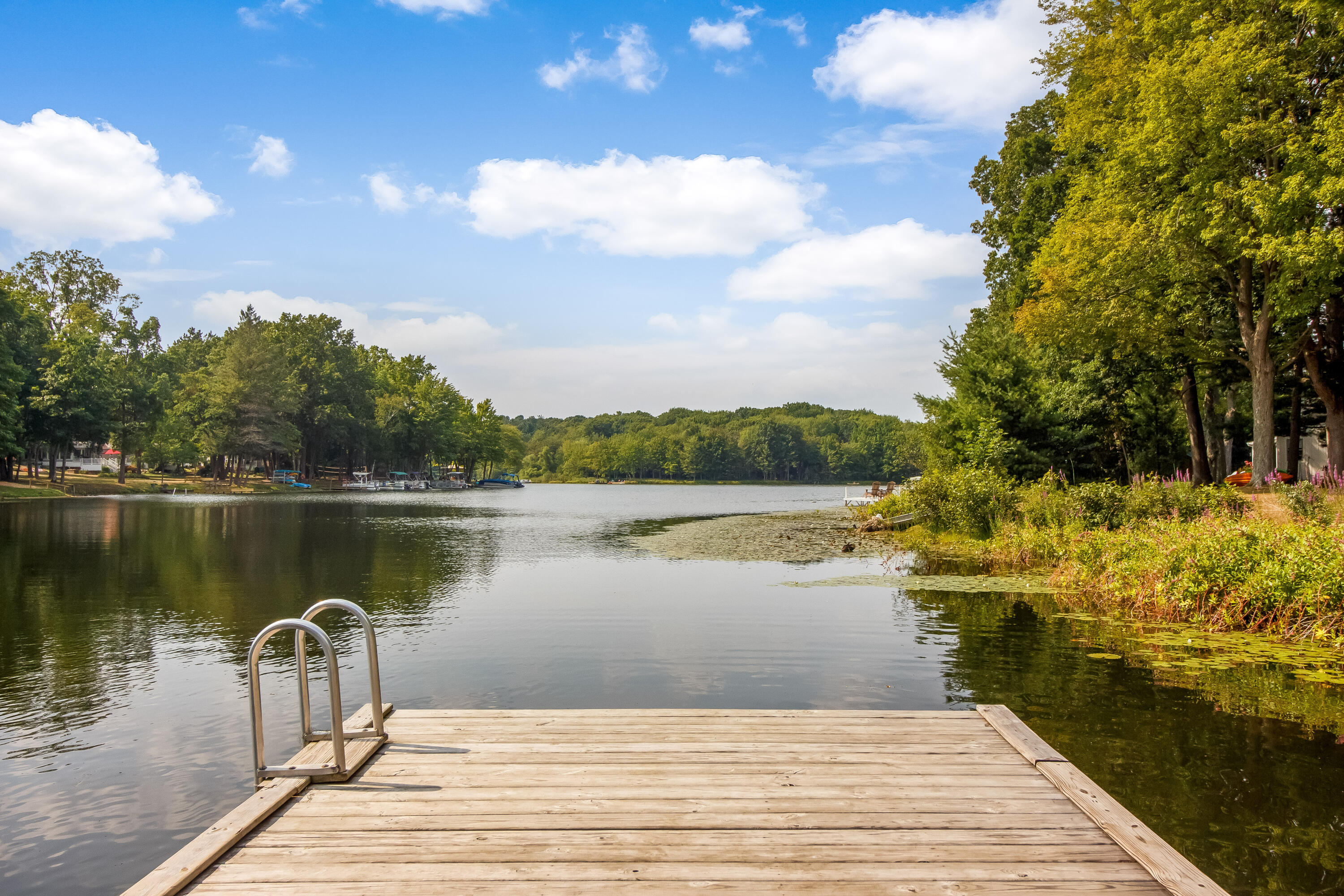 3561 Kingfisher Cove Drive Saugatuck MI 49453