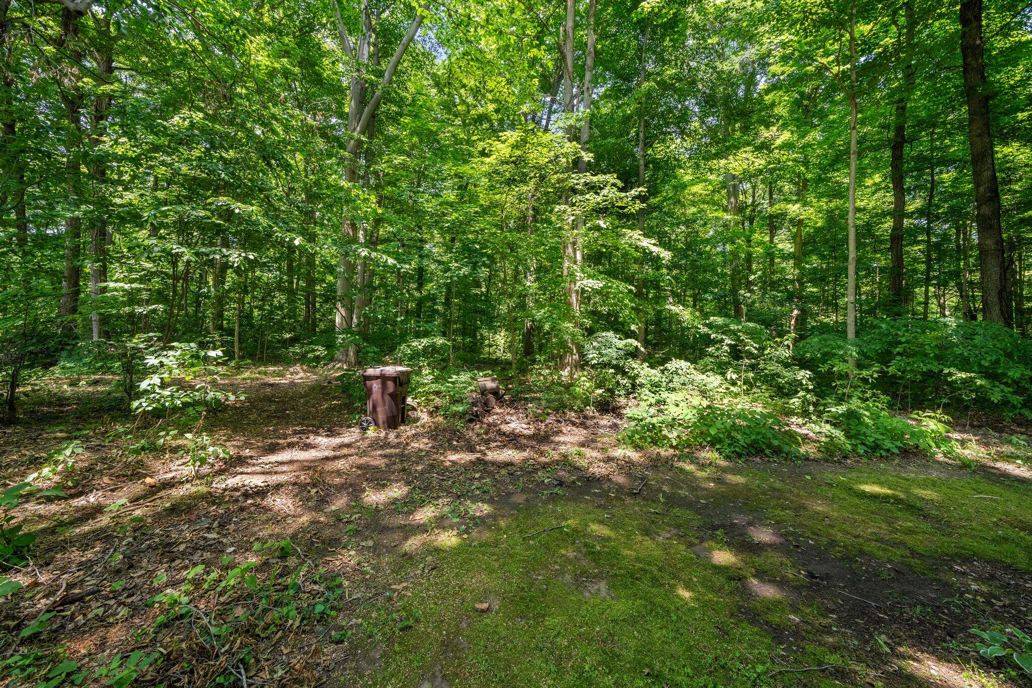61738 Lake View Drive Cassopolis MI 49031