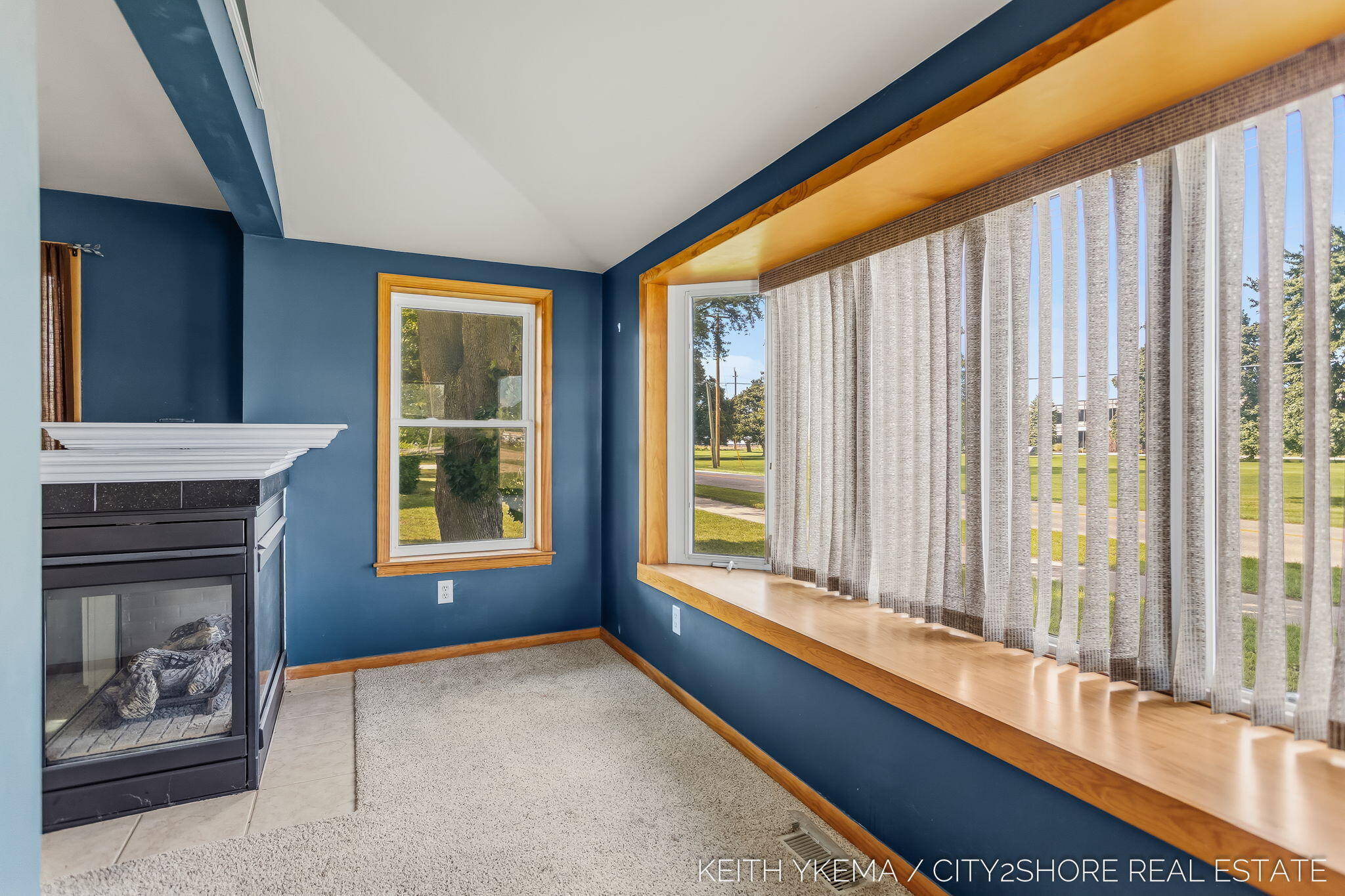 217 N Franklin Street Zeeland MI 49464