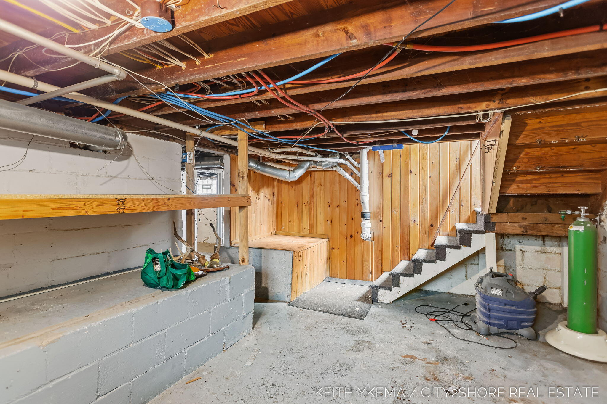 217 N Franklin Street Zeeland MI 49464