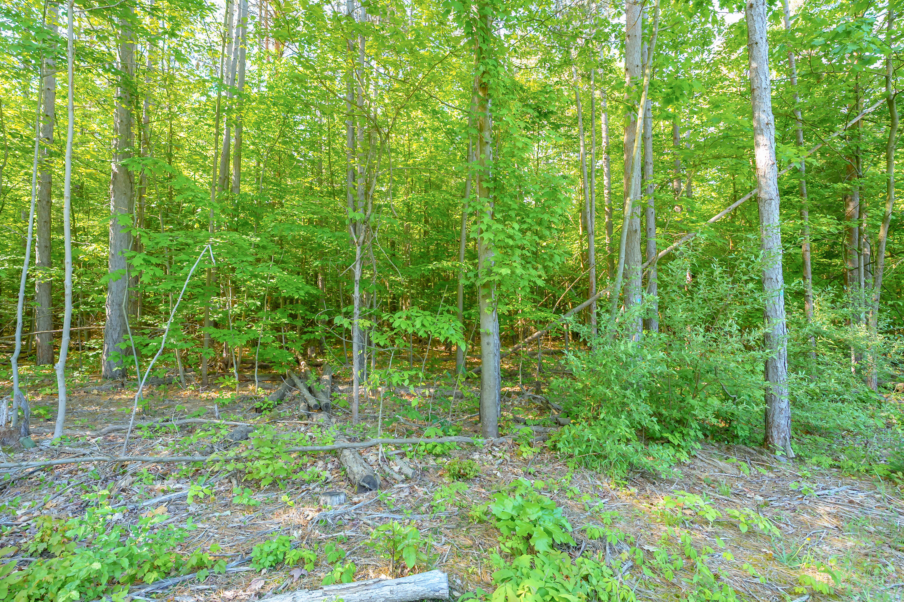 4384 112th Avenue Allegan MI 49010