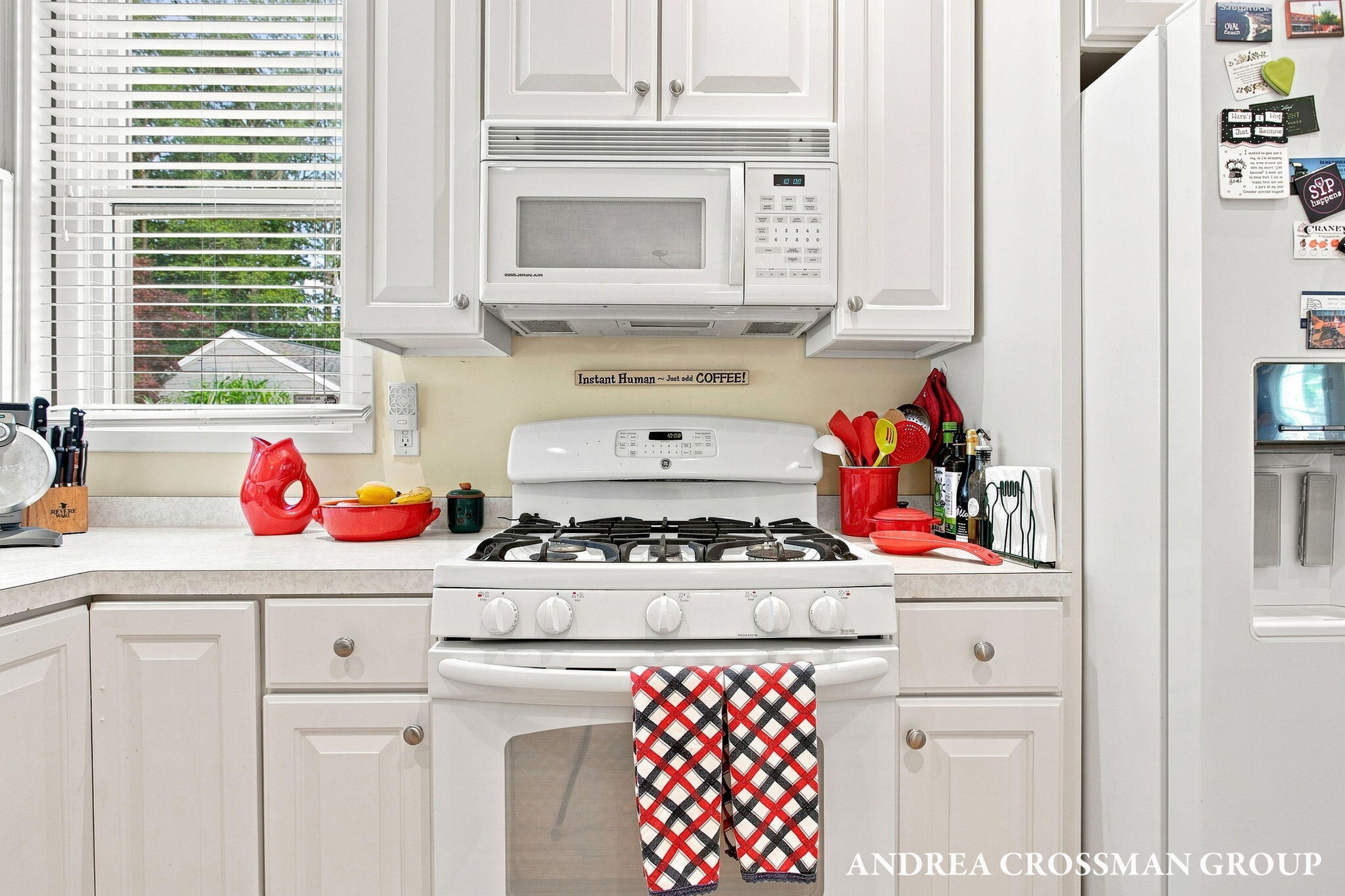 459 Summer Grove Drive Douglas MI 49406