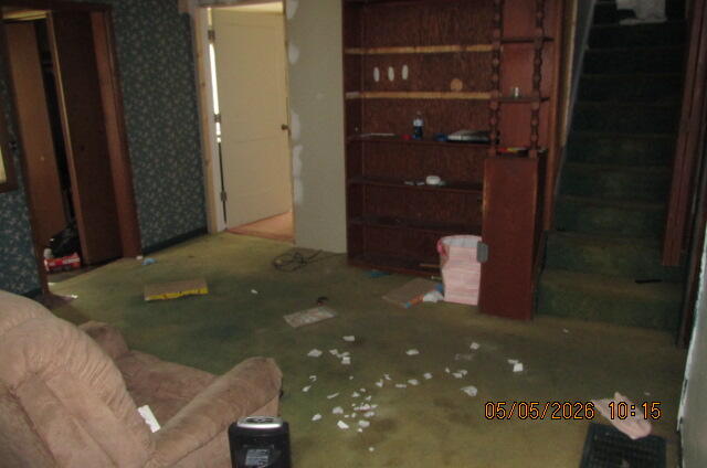 207 Cherry Street Allegan MI 49010