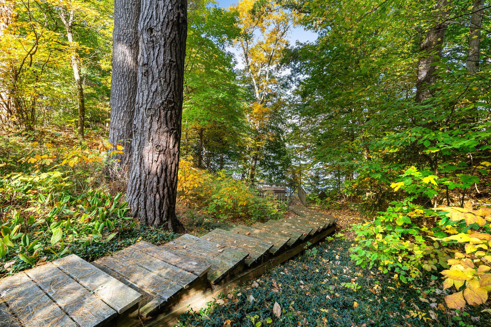 3845 Forest Trail Allegan MI 49010