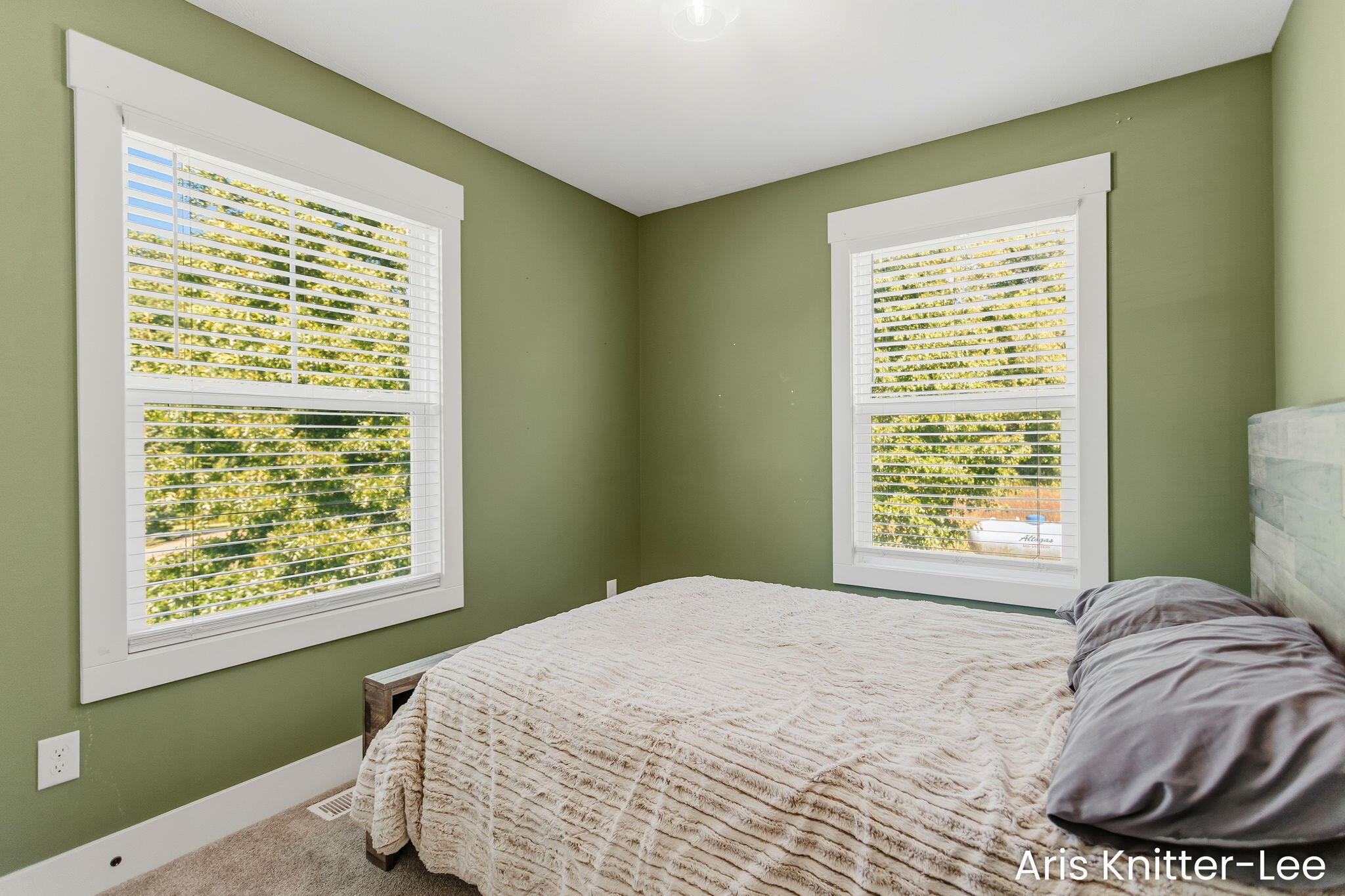 2183 Walking Horse Lane Allegan MI 49010