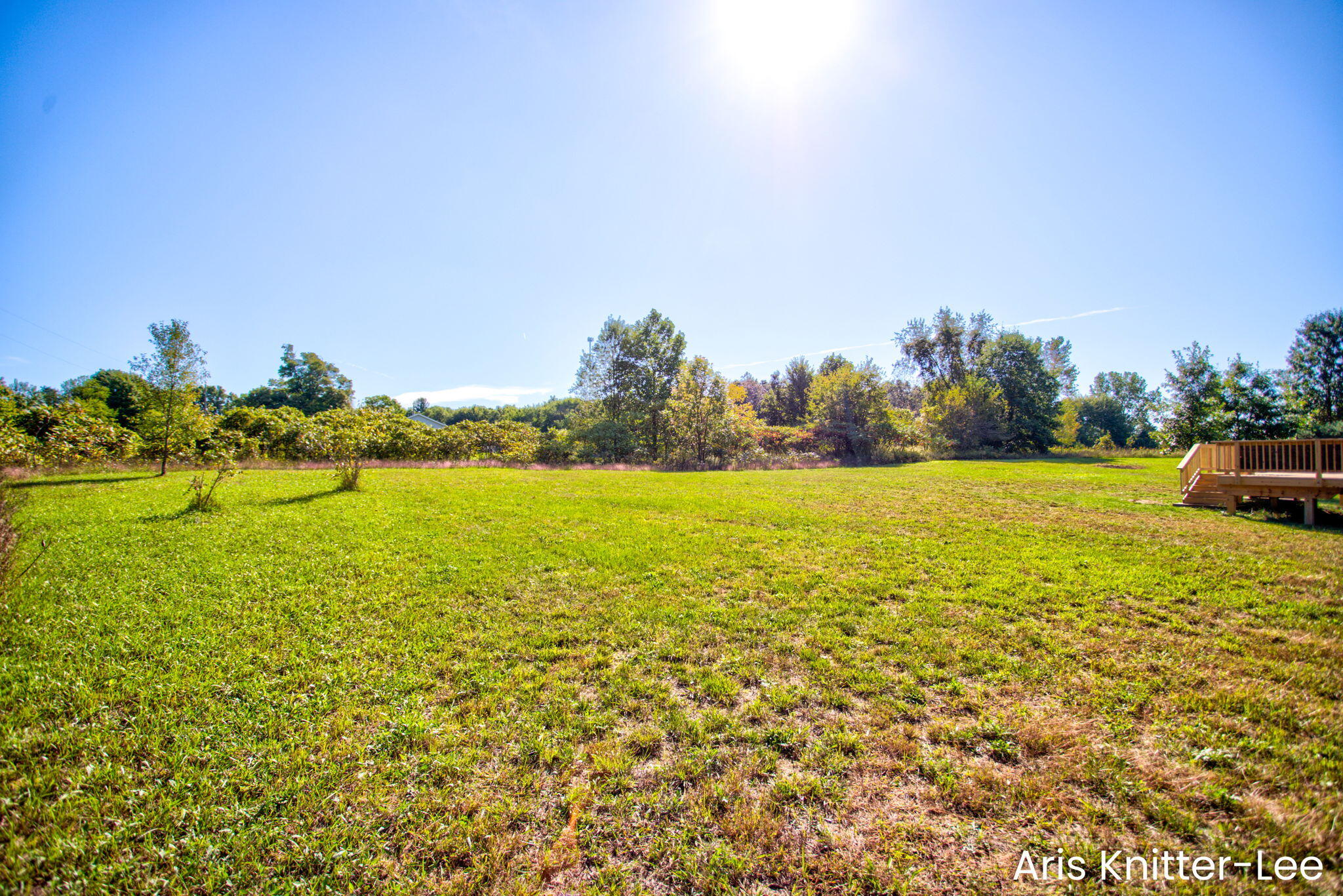 2183 Walking Horse Lane Allegan MI 49010