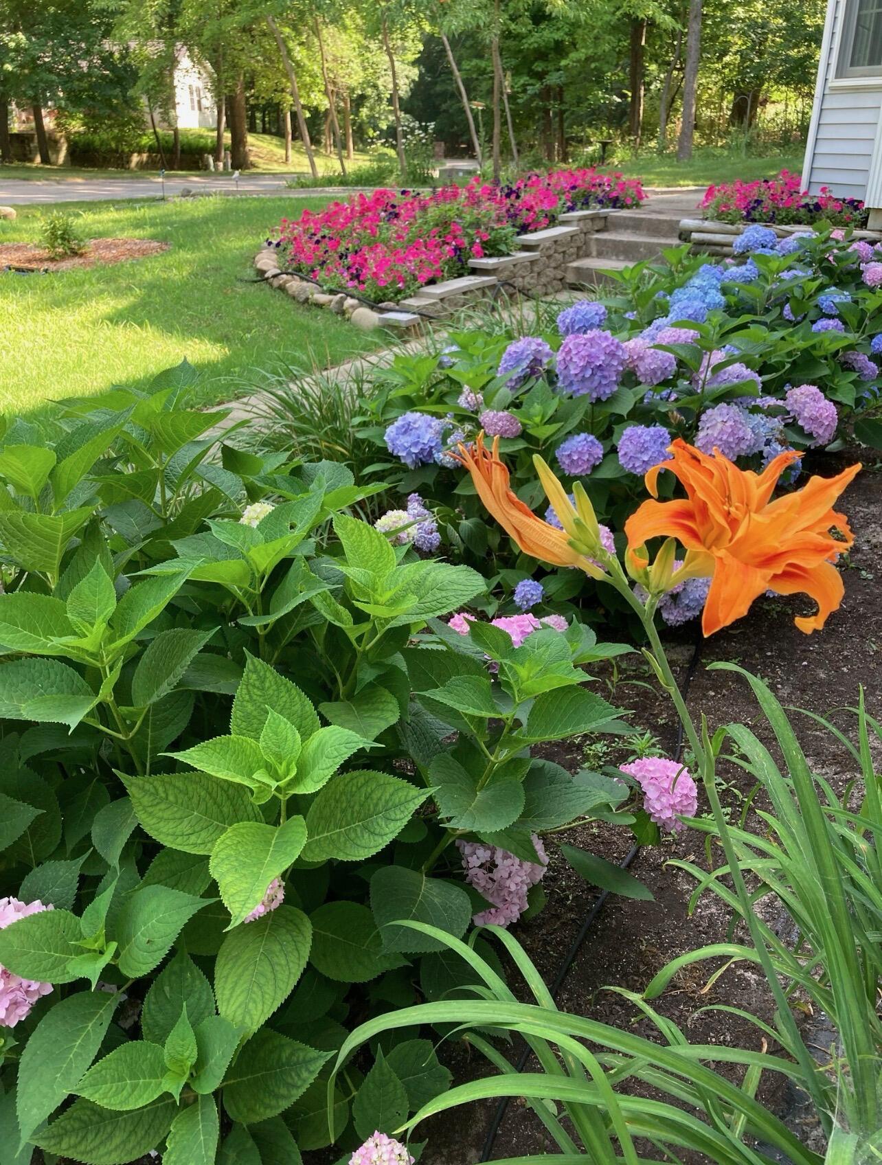 11261 Bridlewood Trail Berrien Springs MI 49103