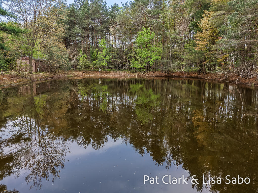 16580 Lake Michigan Drive West Olive MI 49460