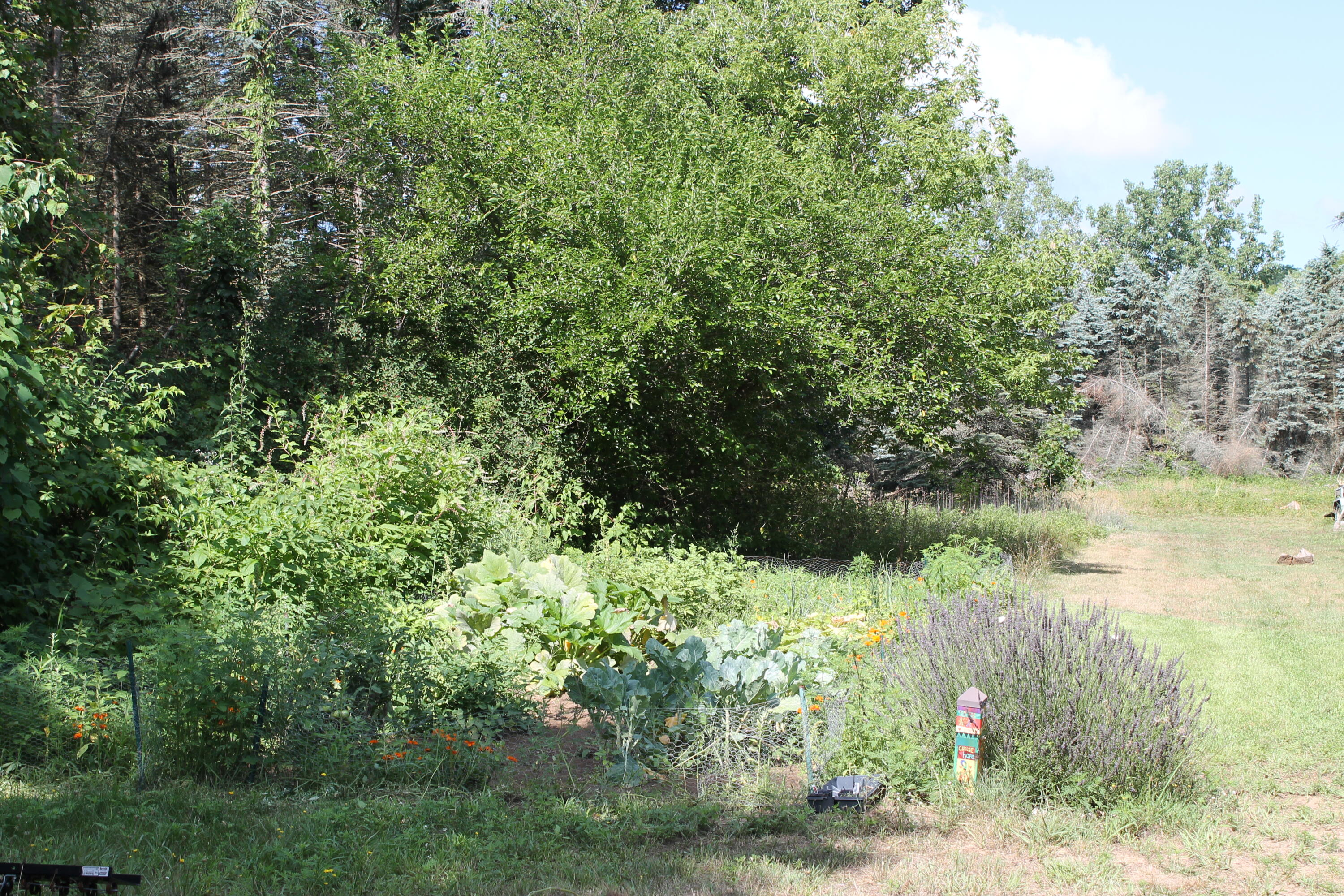 2236 35th Street Allegan MI 49010