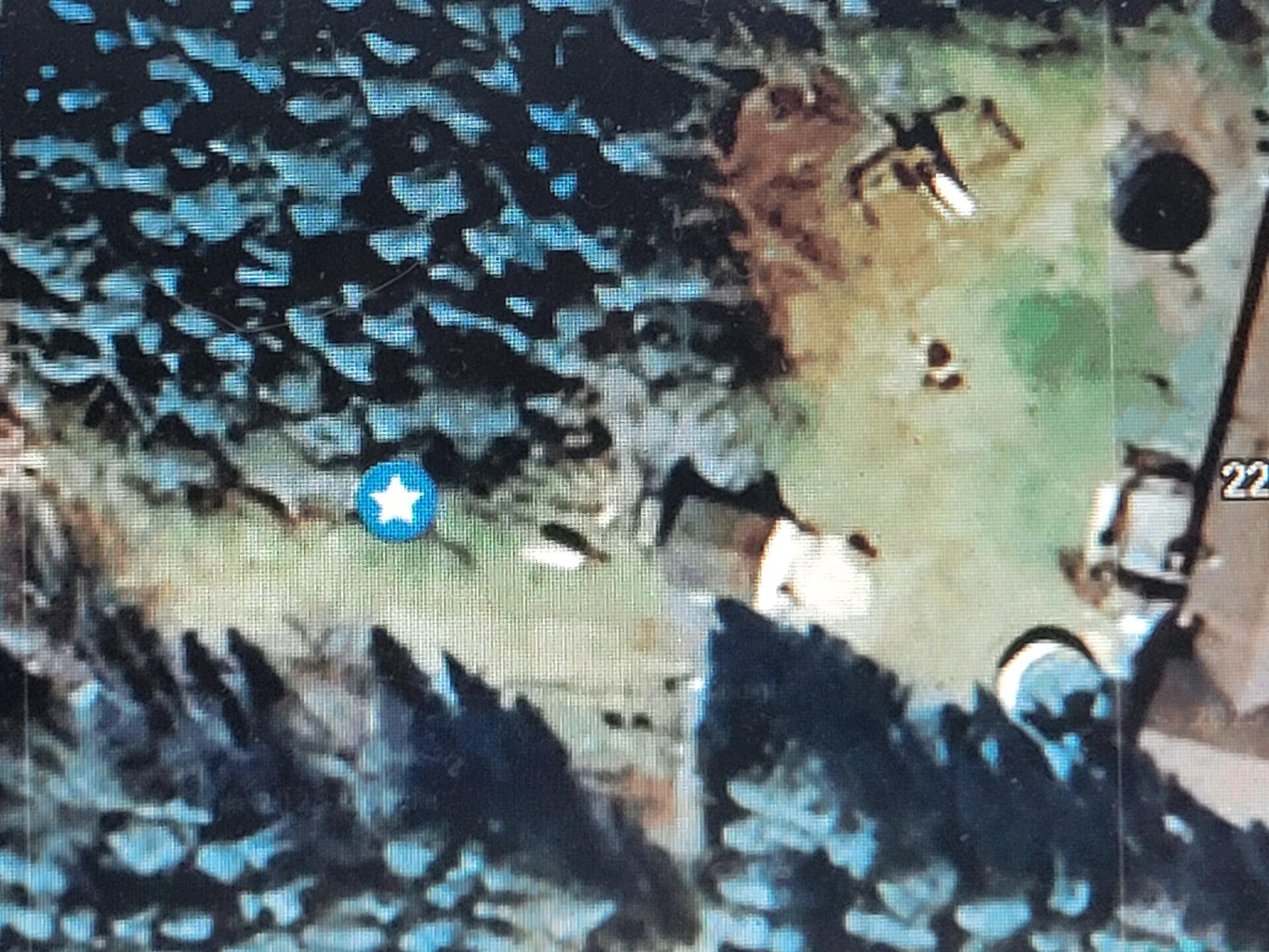 2236 35th Street Allegan MI 49010