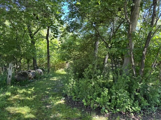 1021 Orchard Avenue South Haven MI 49090