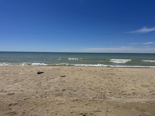 1021 Orchard Avenue South Haven MI 49090