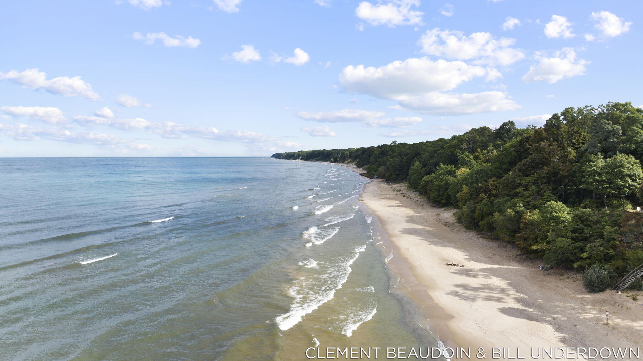 2339 Forest Trail Circle Fennville MI 49408