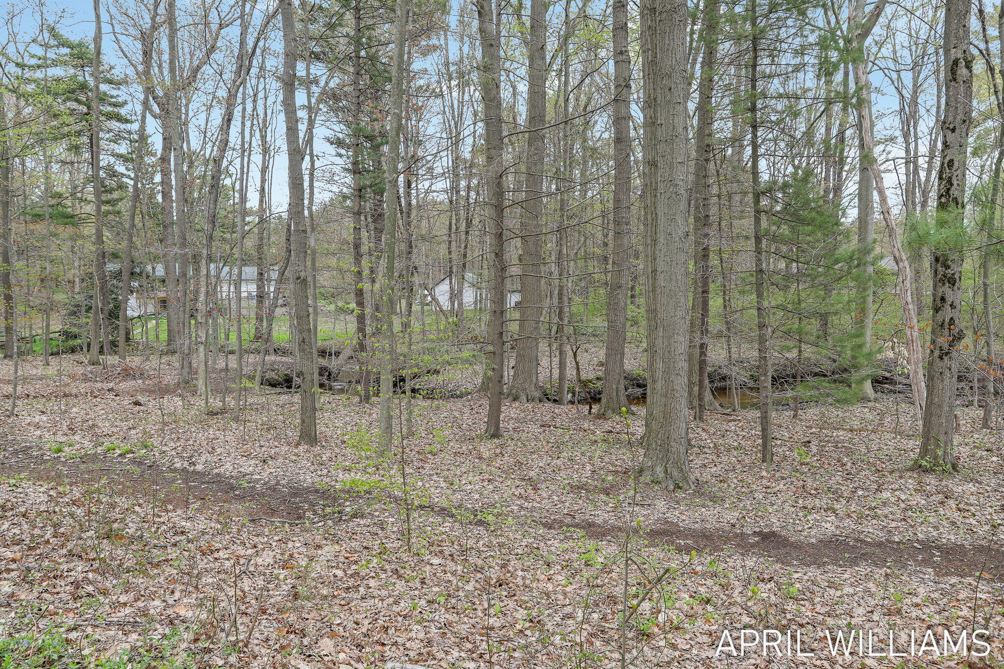 6801 Wildwood Drive West Olive MI 49460