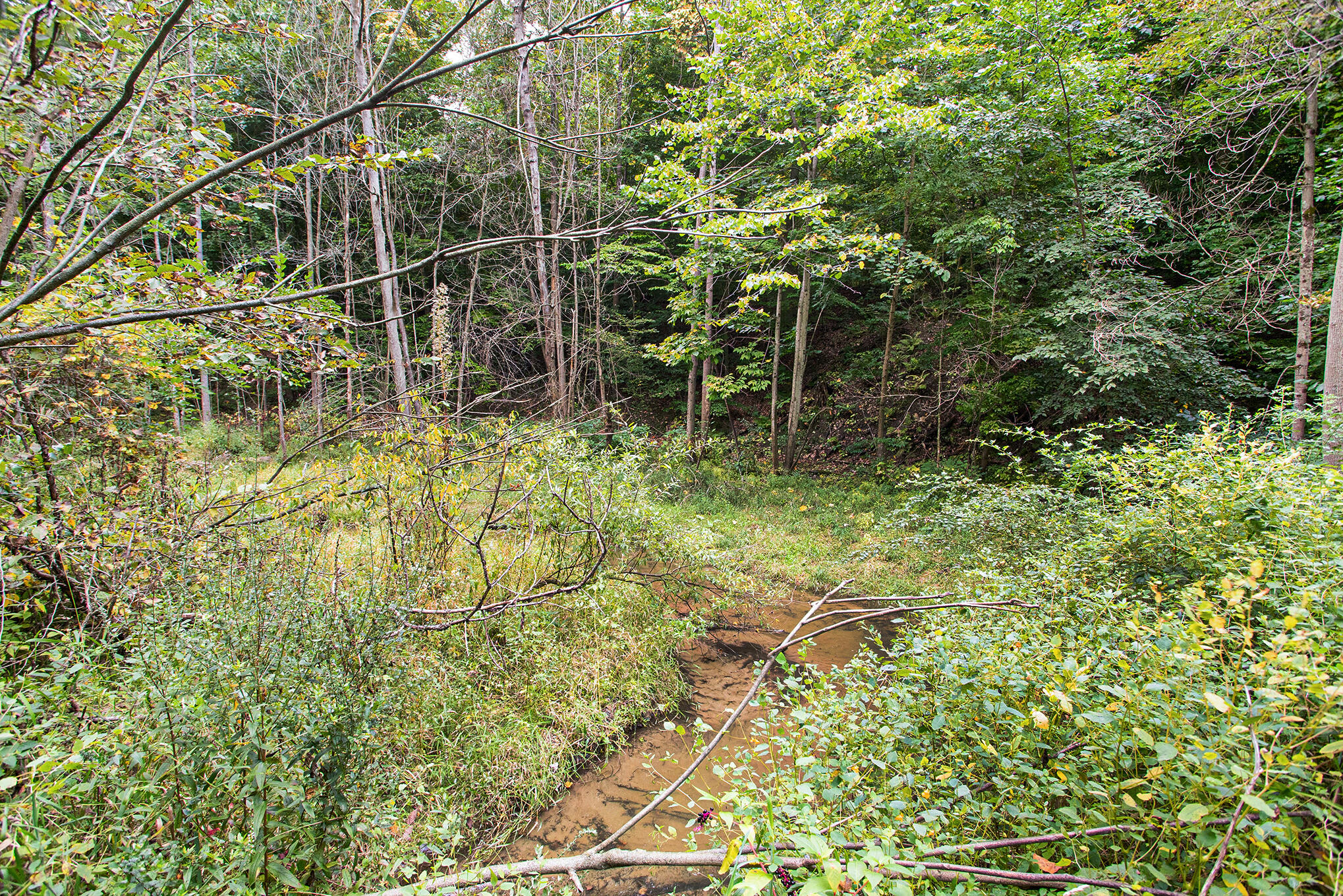 5310 N Branch Road Coloma MI 49038