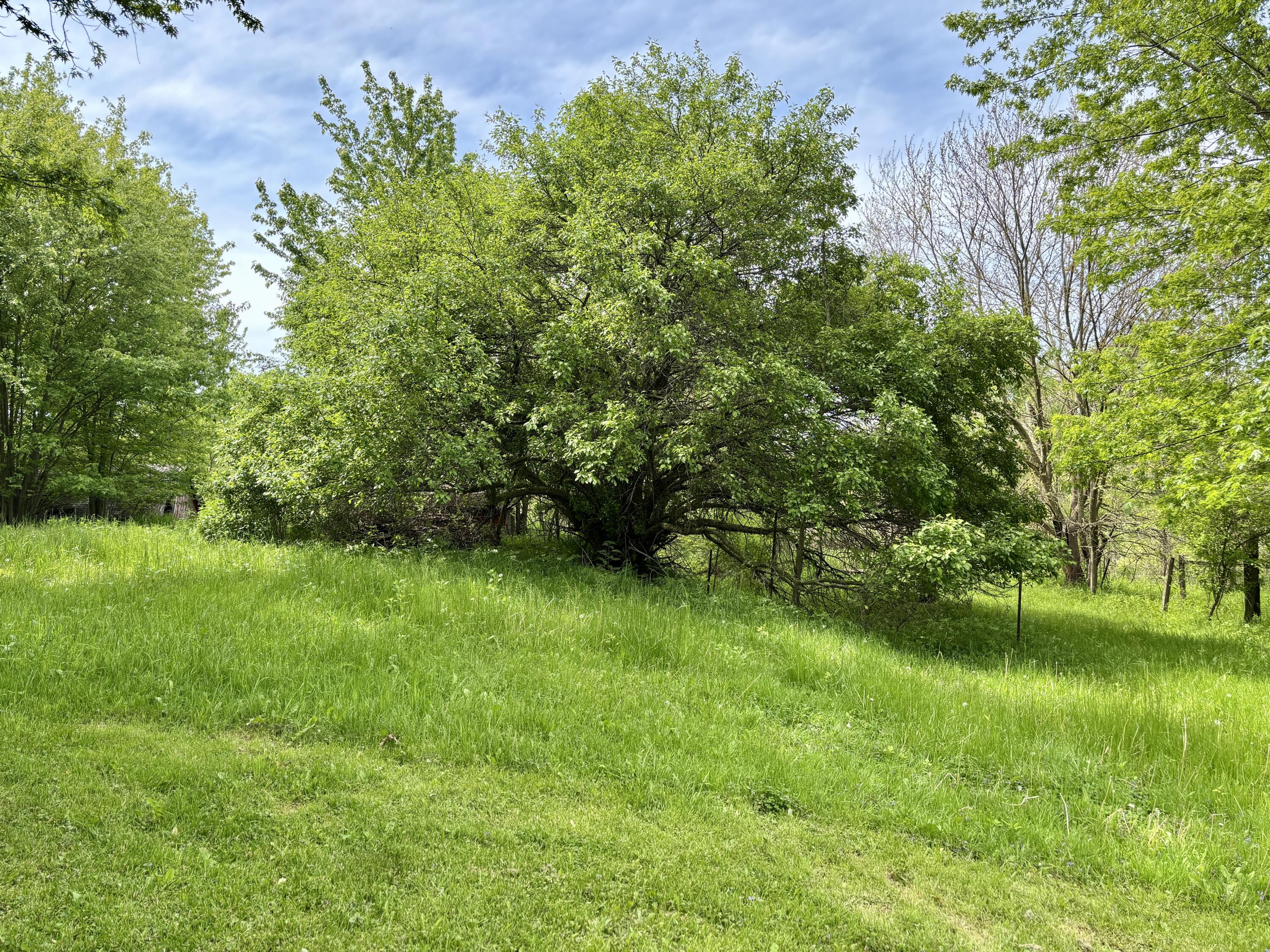 1652 Olive Branch Road Galien MI 49113
