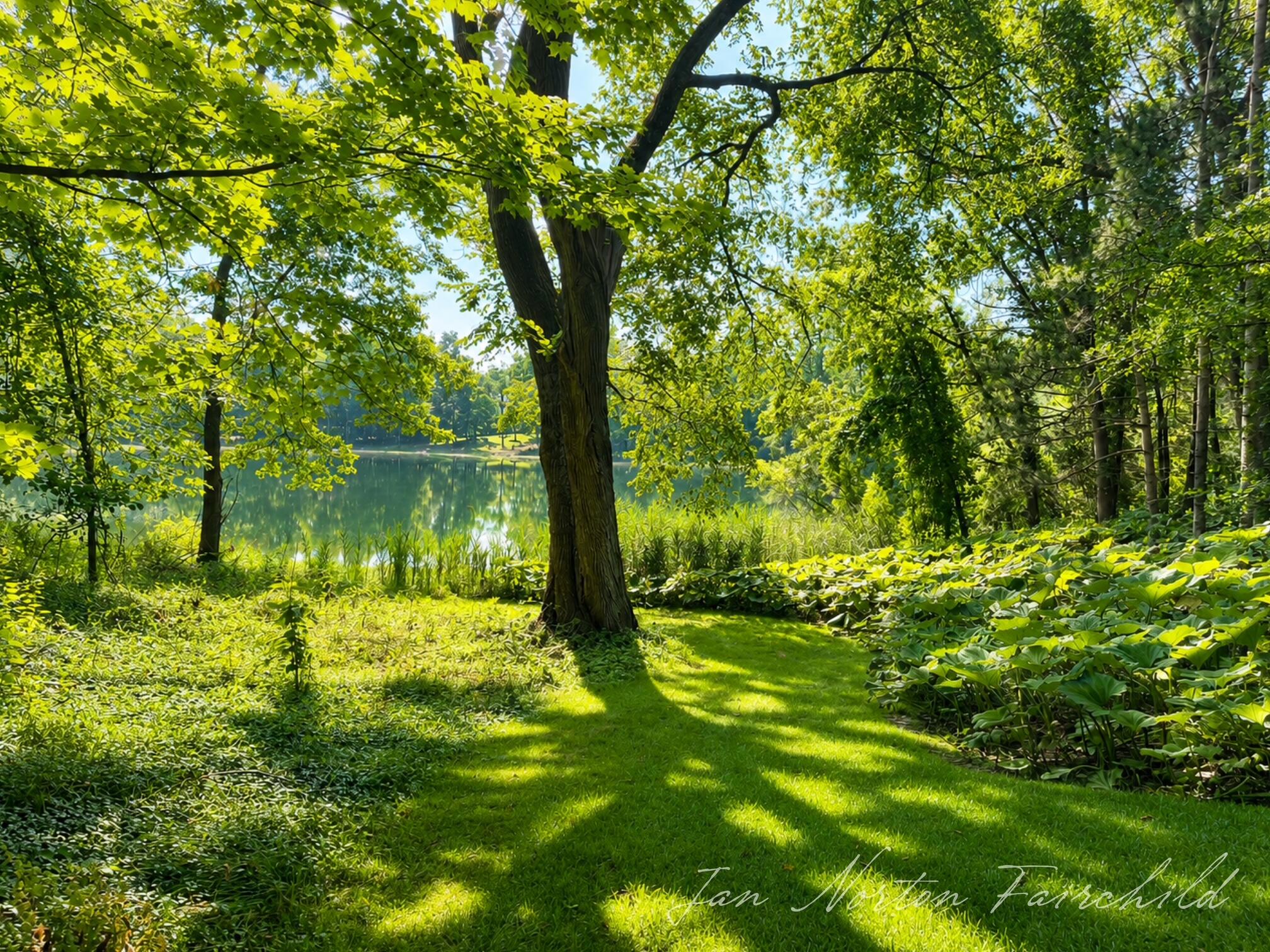 8050 Wilderness Trail NE Ada MI 49301