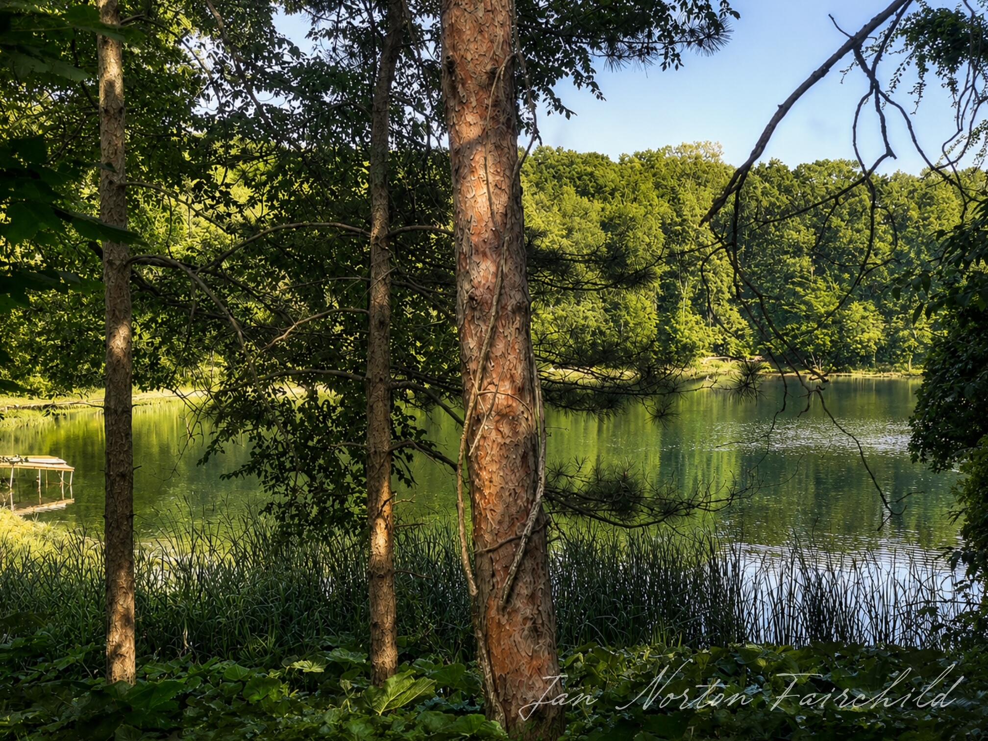 8050 Wilderness Trail NE Ada MI 49301