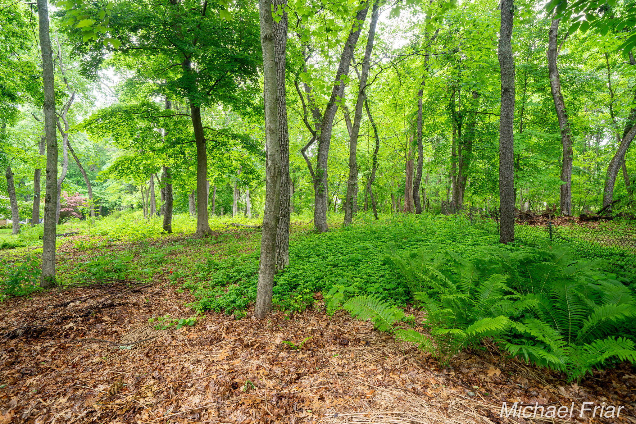 2700 Shadowbrook Drive SE Grand Rapids MI 49546