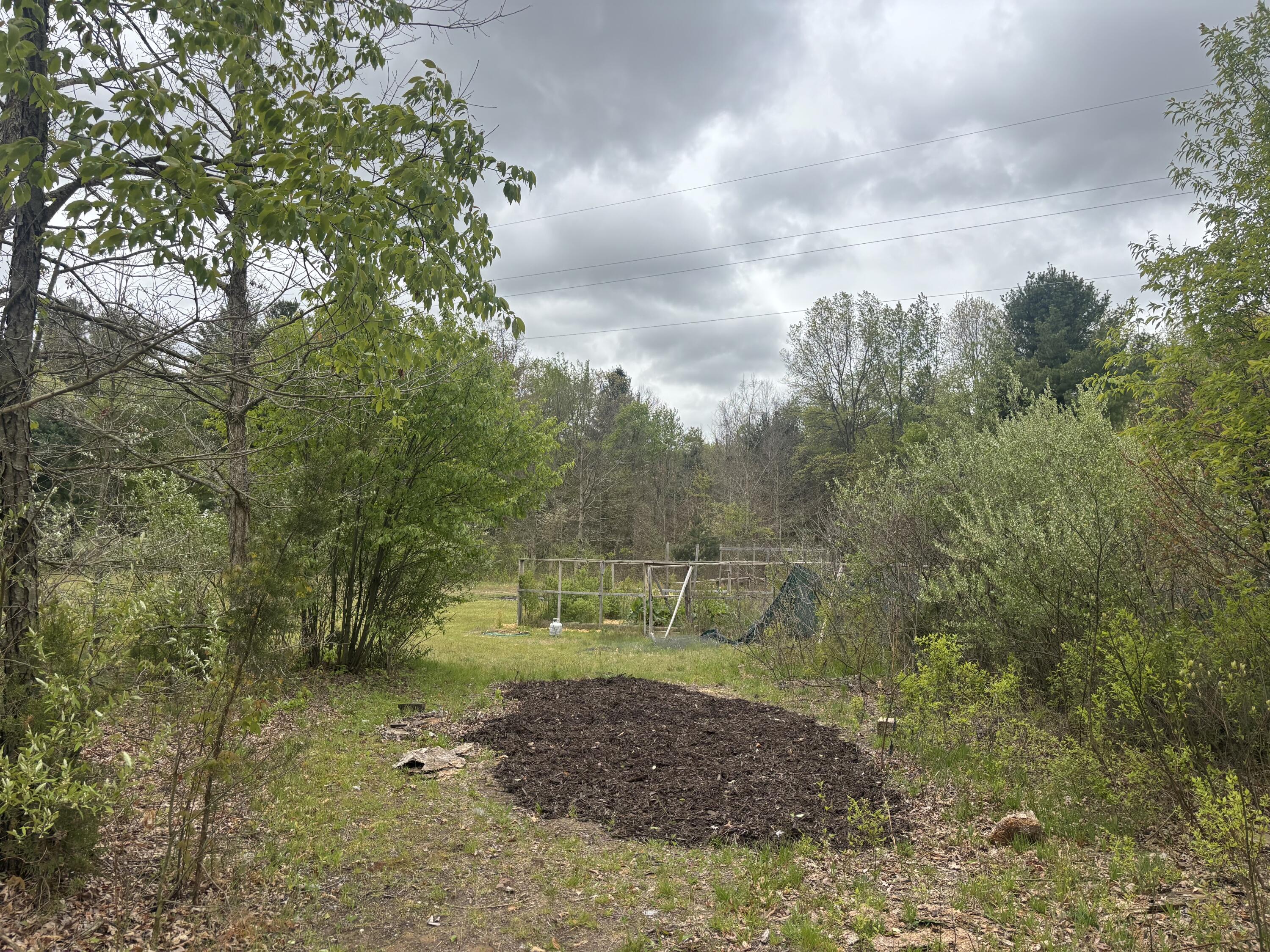 53663 Baseline Road Grand Junction MI 49056