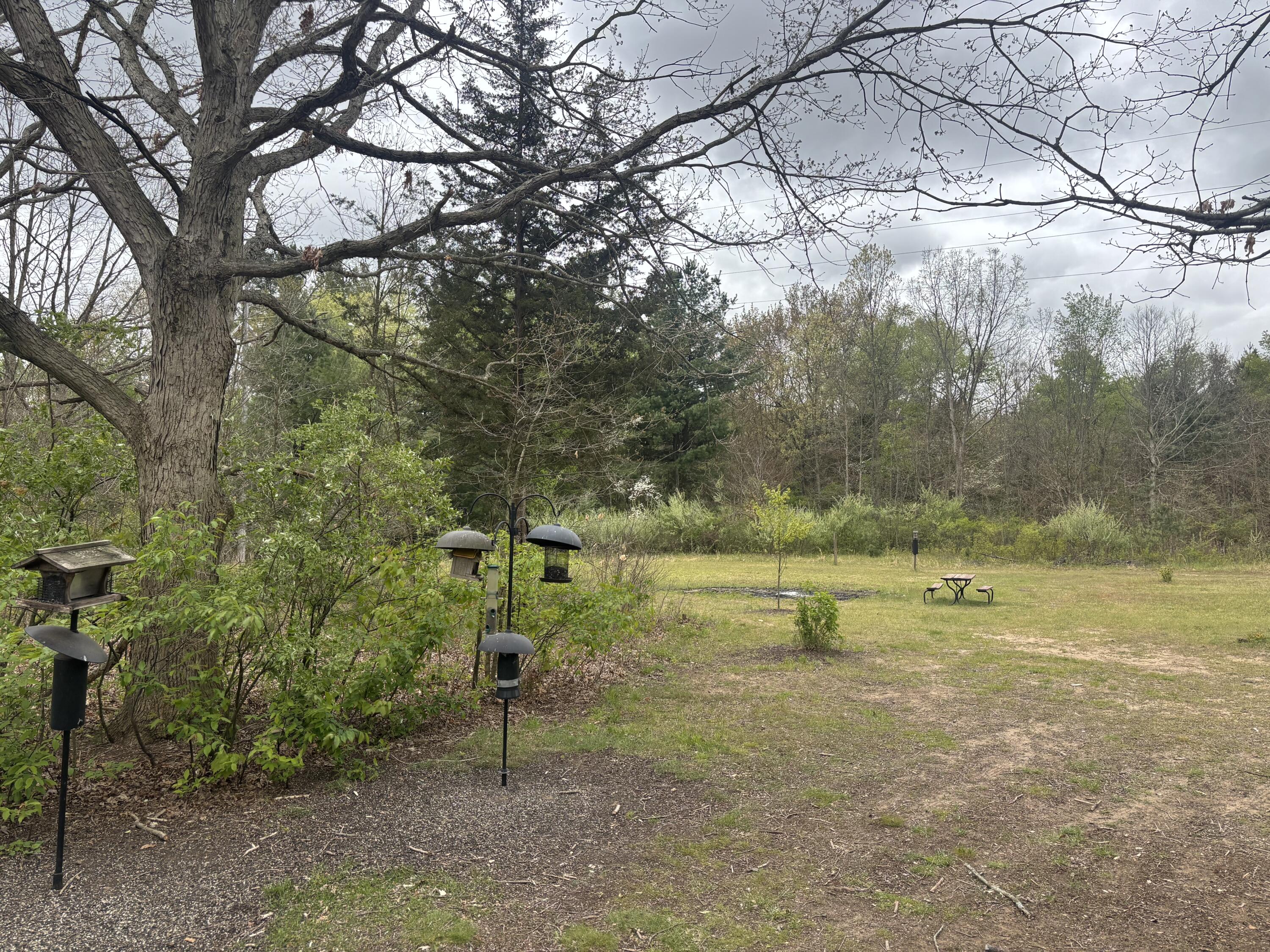 53663 Baseline Road Grand Junction MI 49056